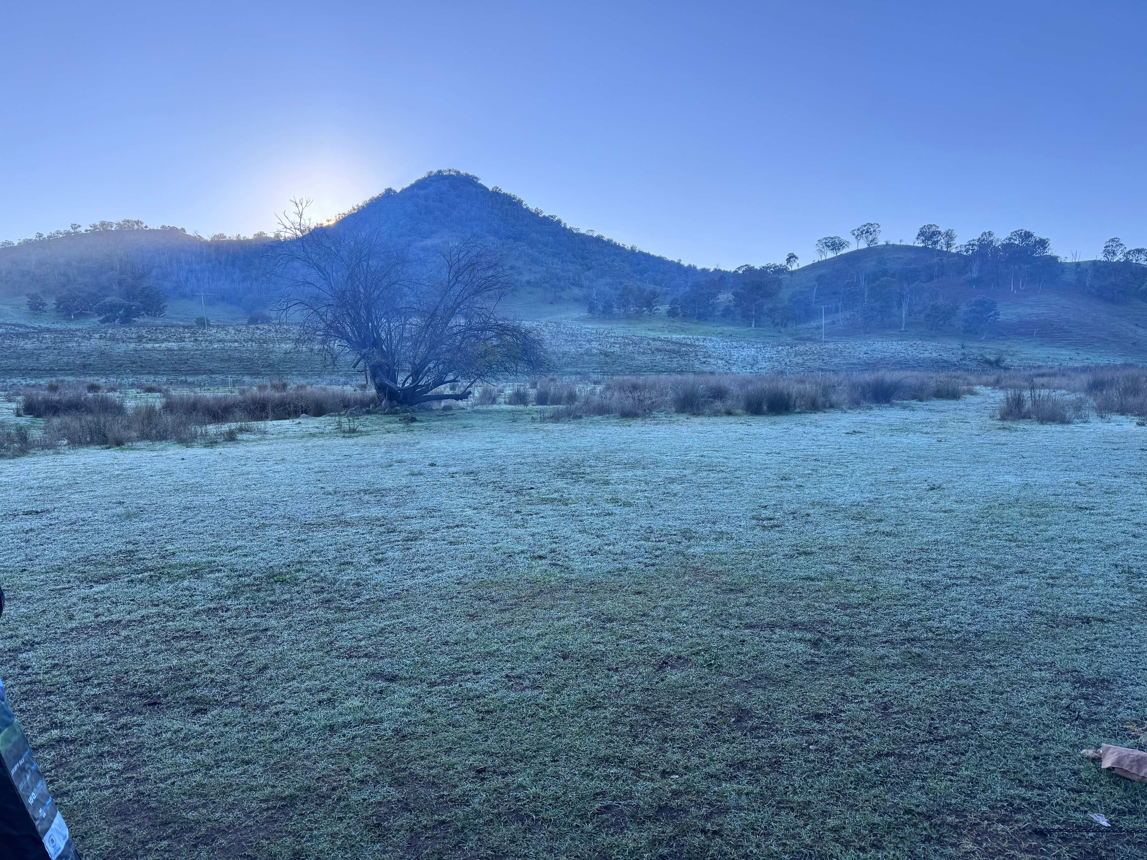Frosty mornings 🙂