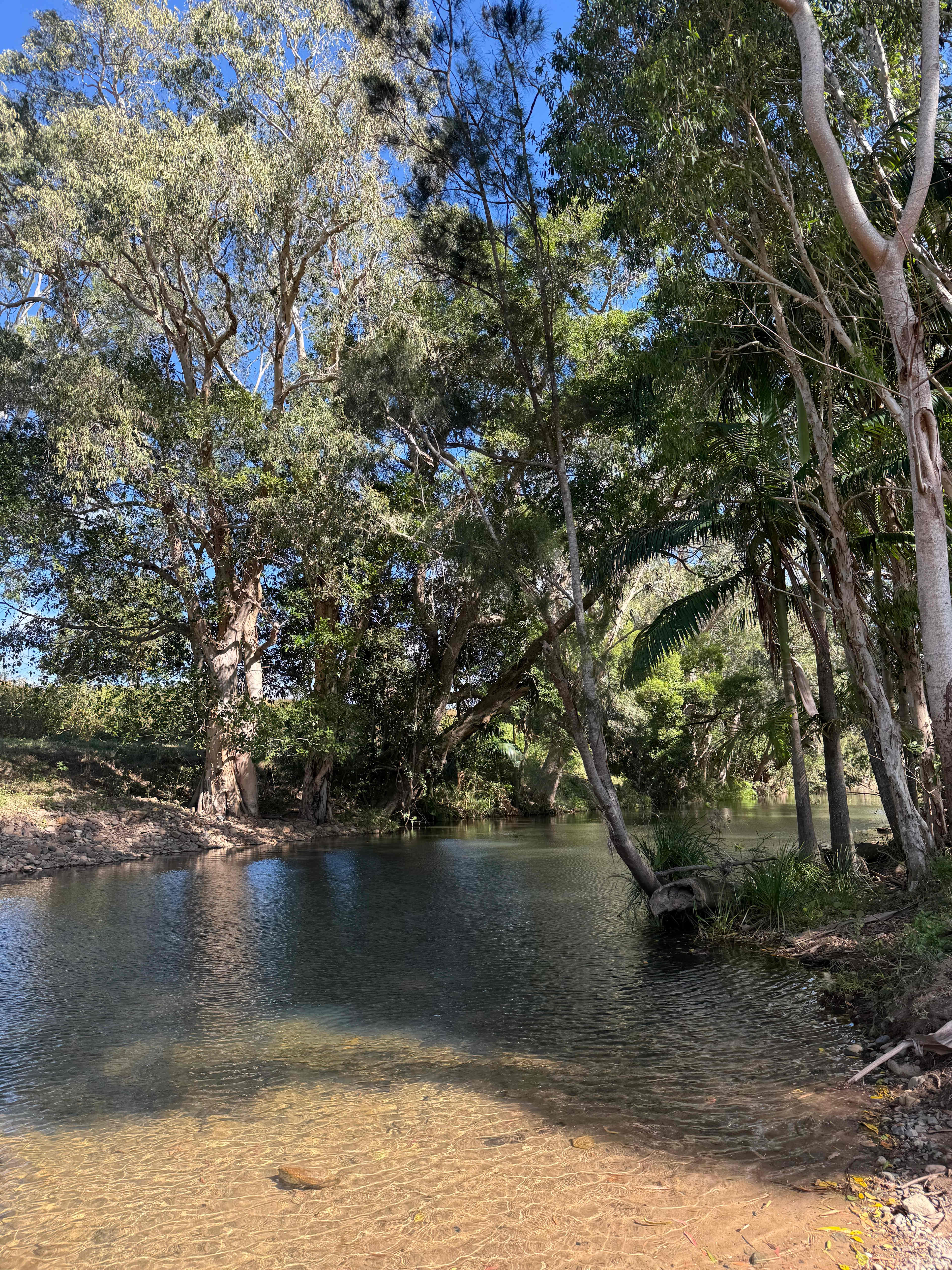 Ilbilbie Station Farm Stay