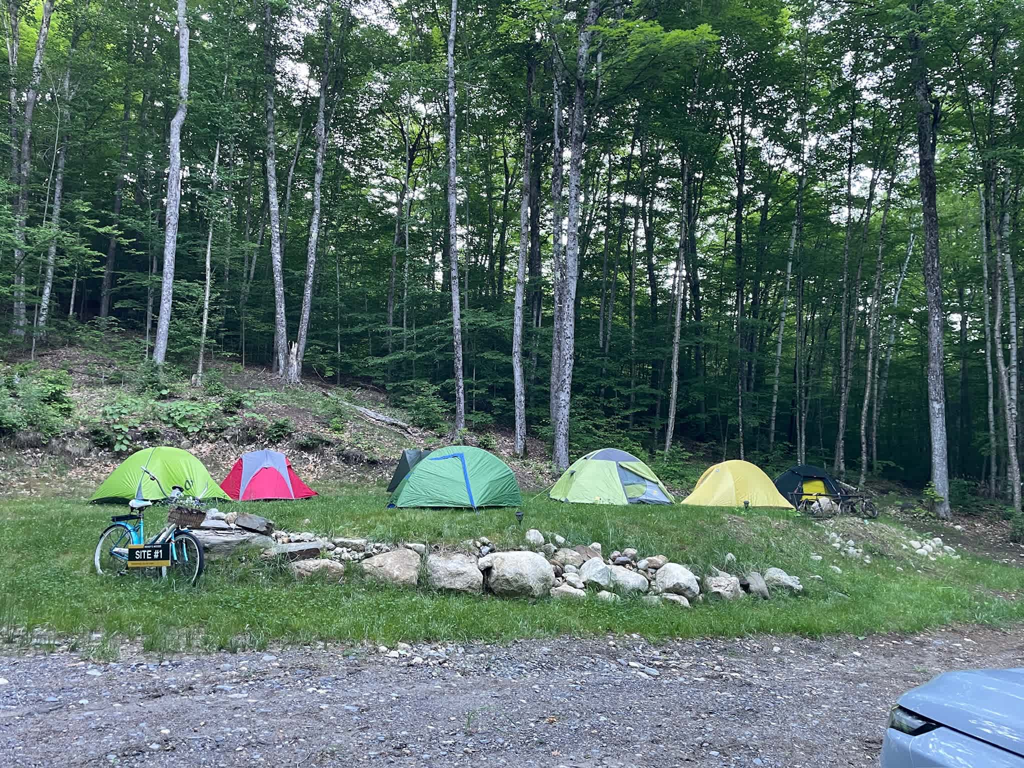 Wendy’s Woods on the Kingdom Trails