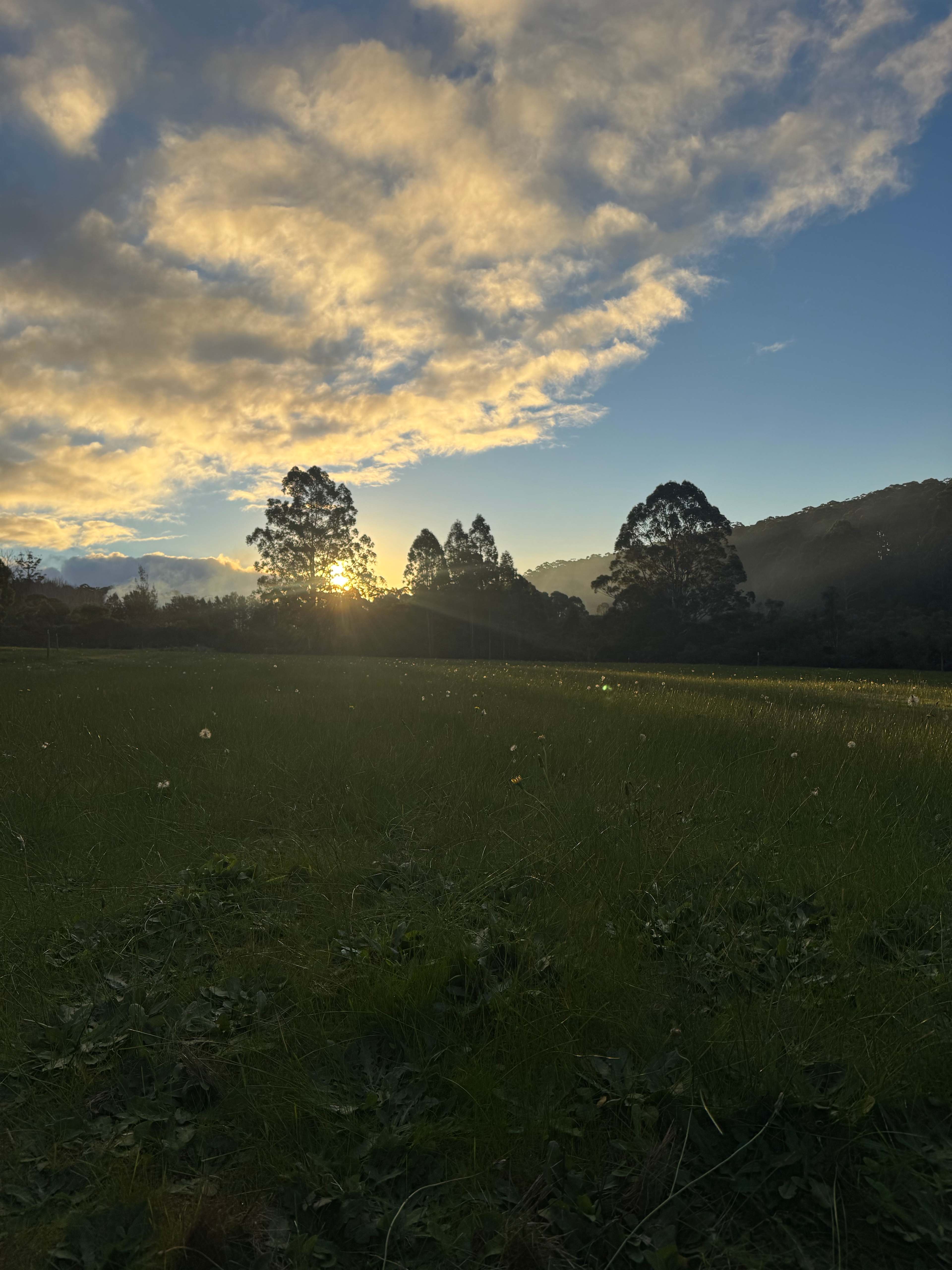 Lovely sunset across the property.