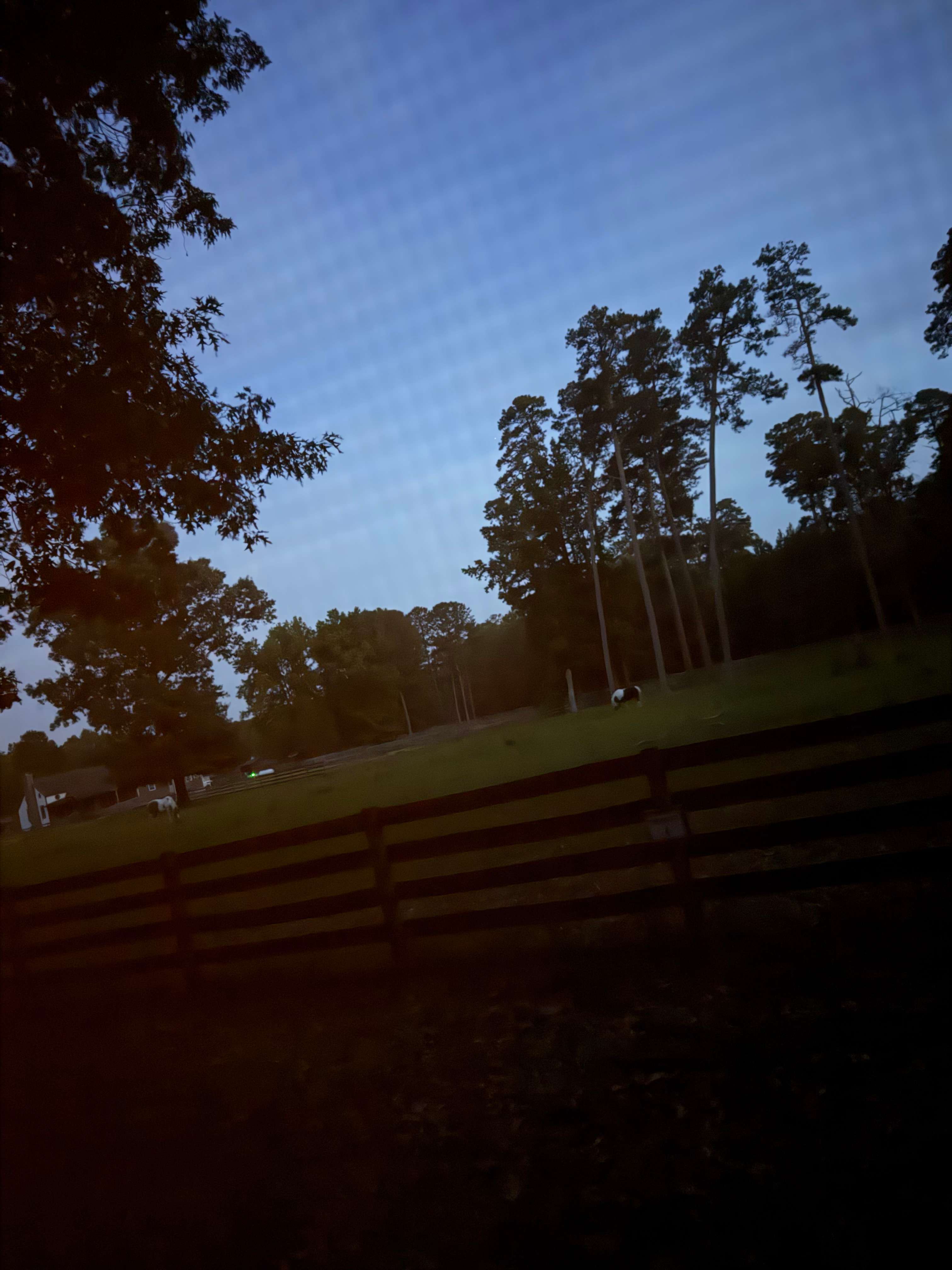Peace Hill Farm