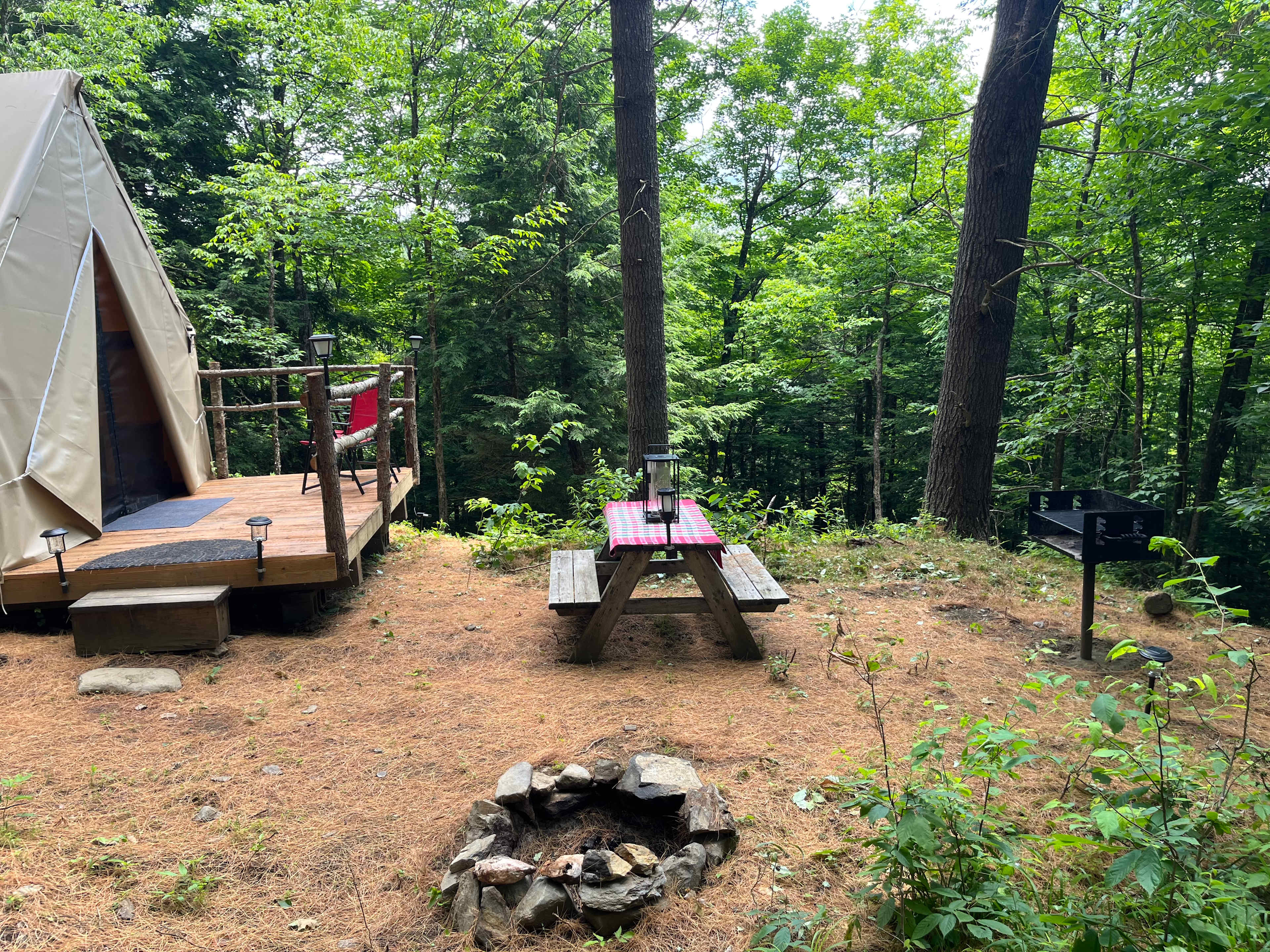 Picture of the site