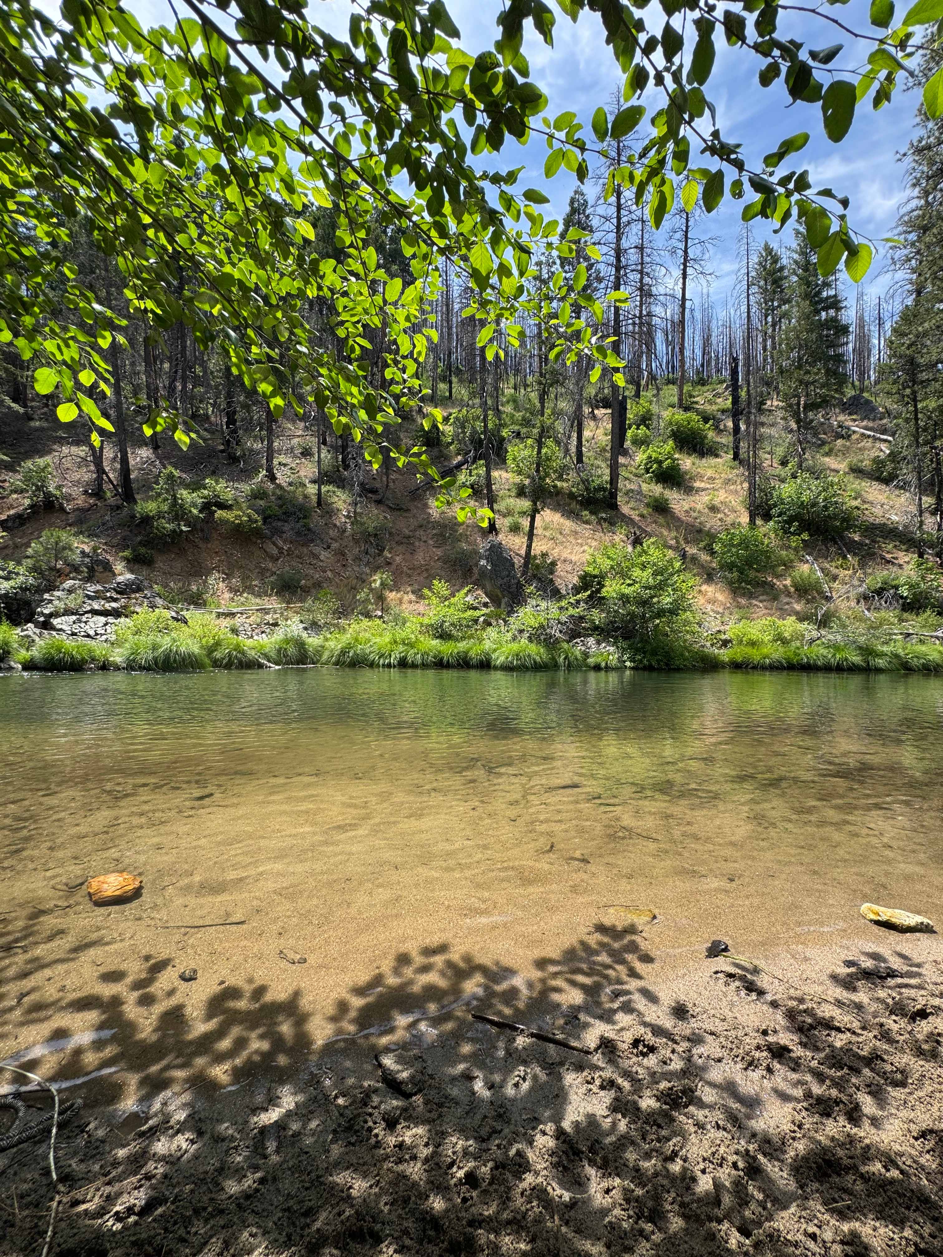 Genesee Camp