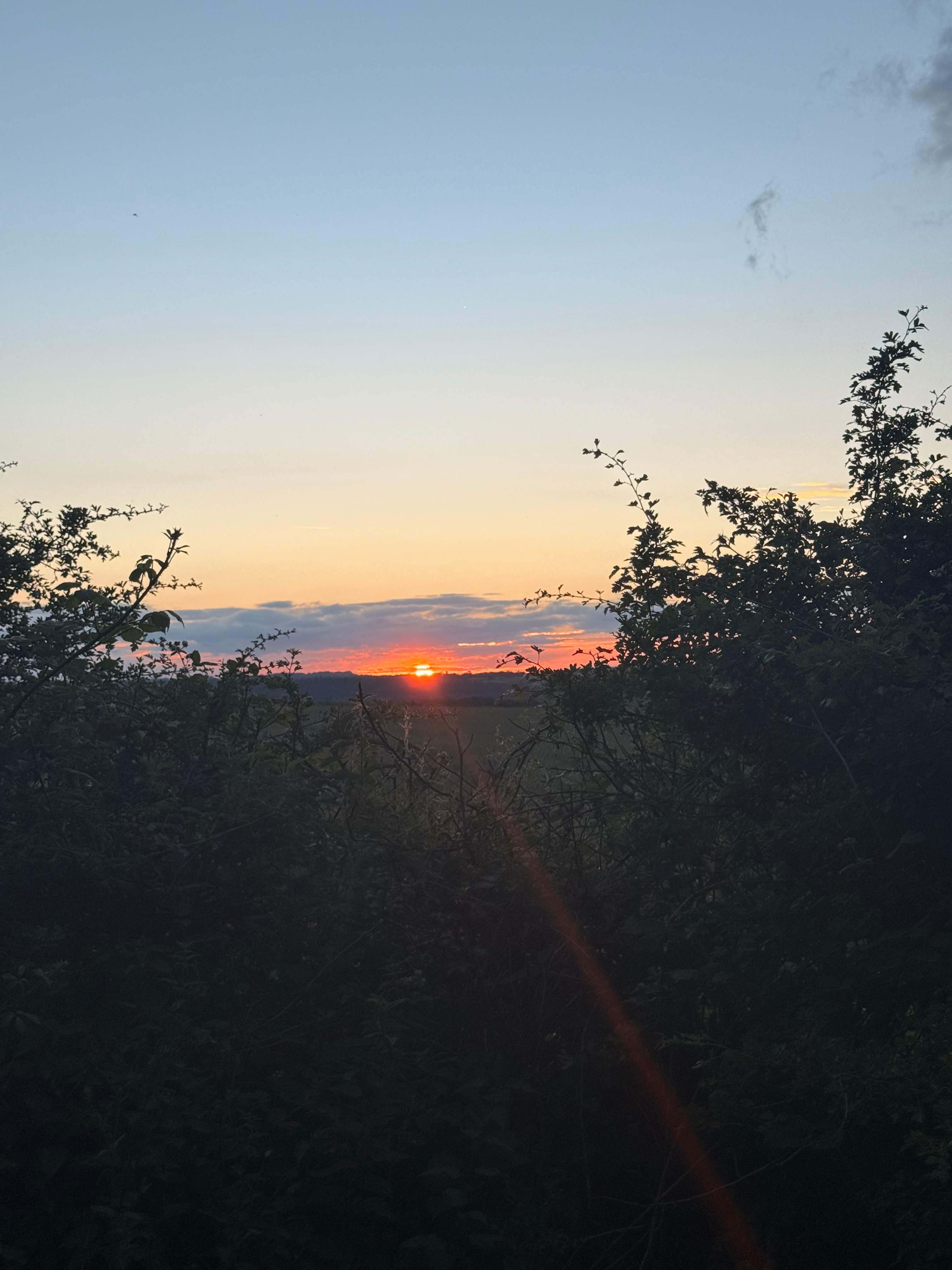 Millview Glamping, Camping & Events