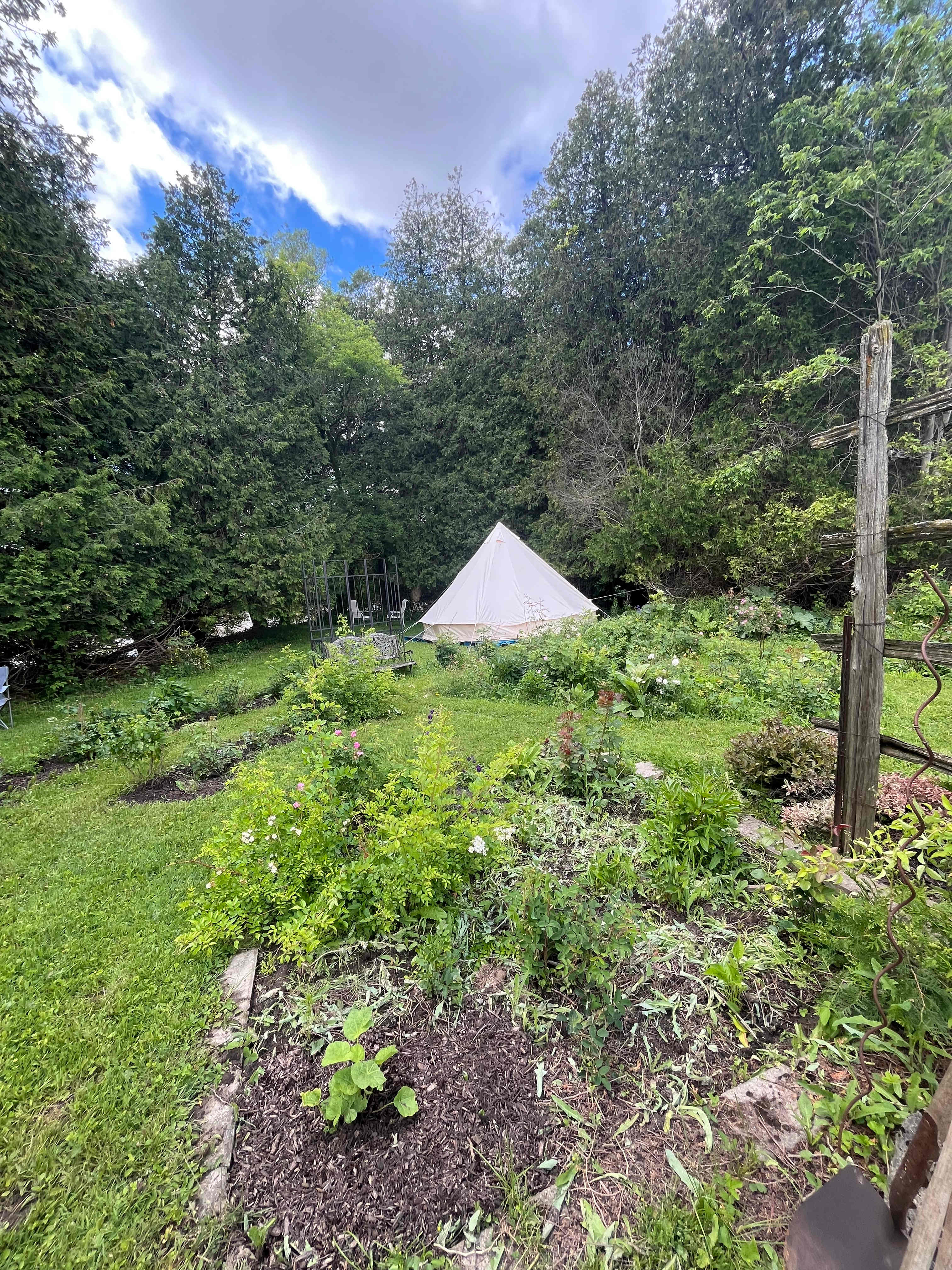 Picture of the site