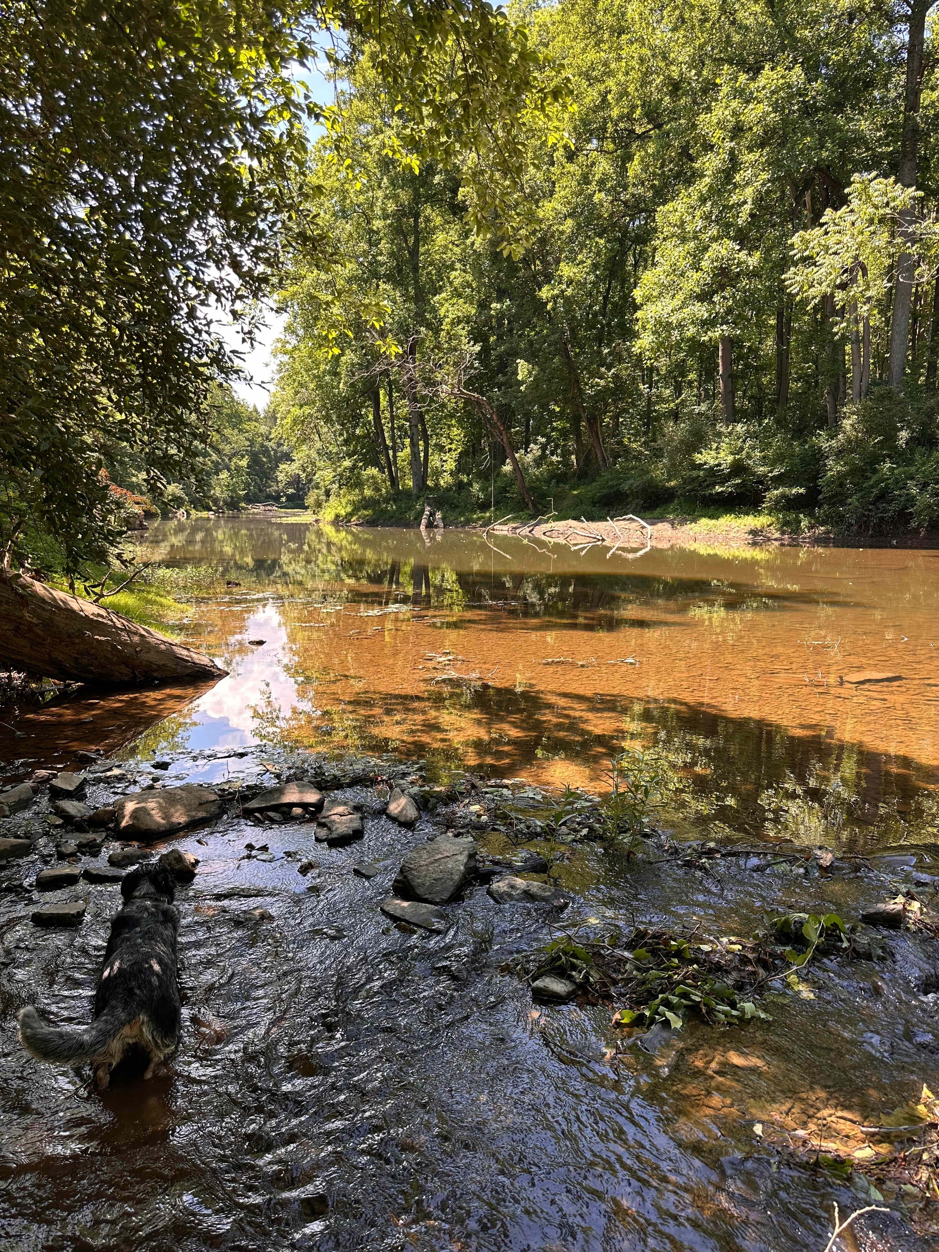 Carp Cove Farm