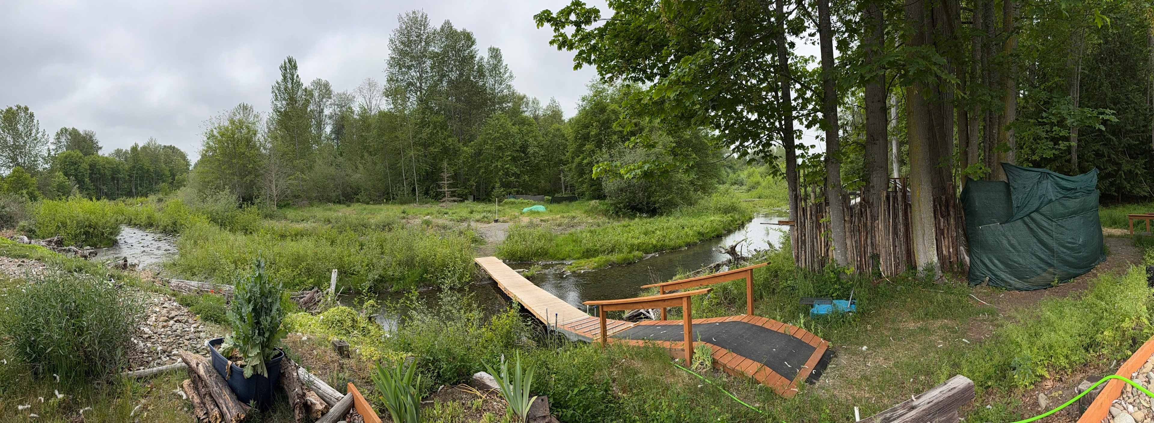 Picture of the site