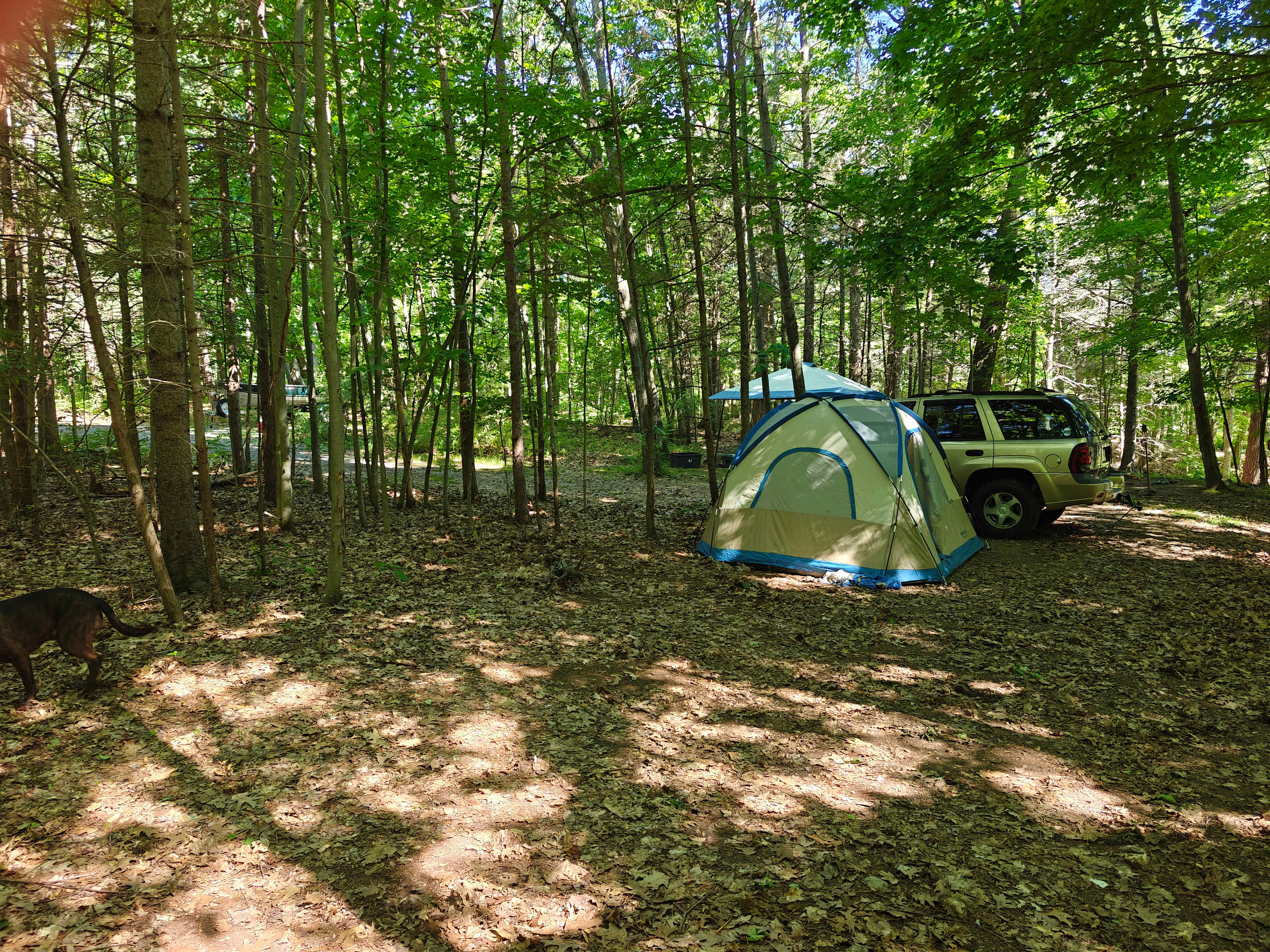 Chestnut Grove