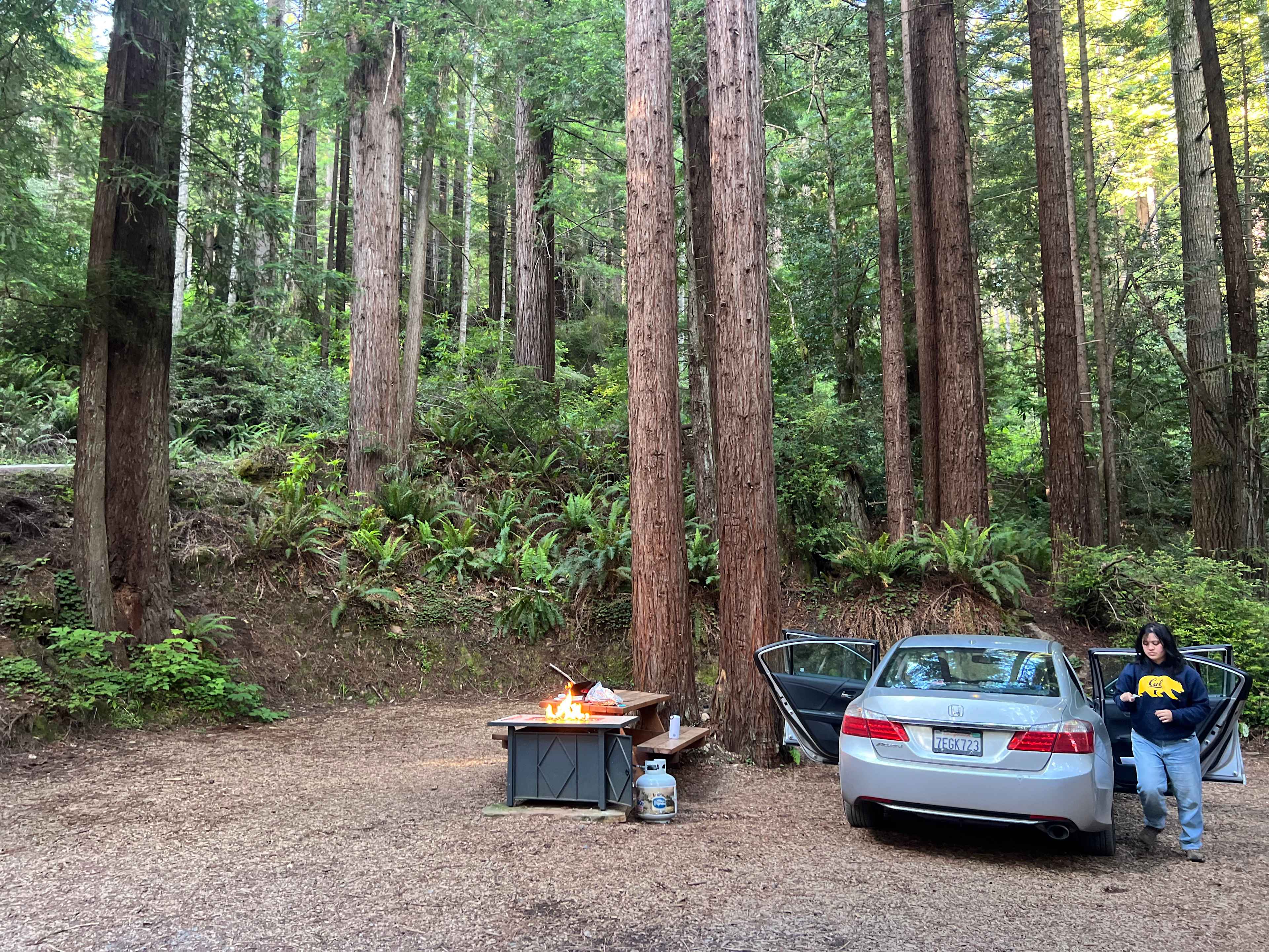 Whispering Redwood Creek