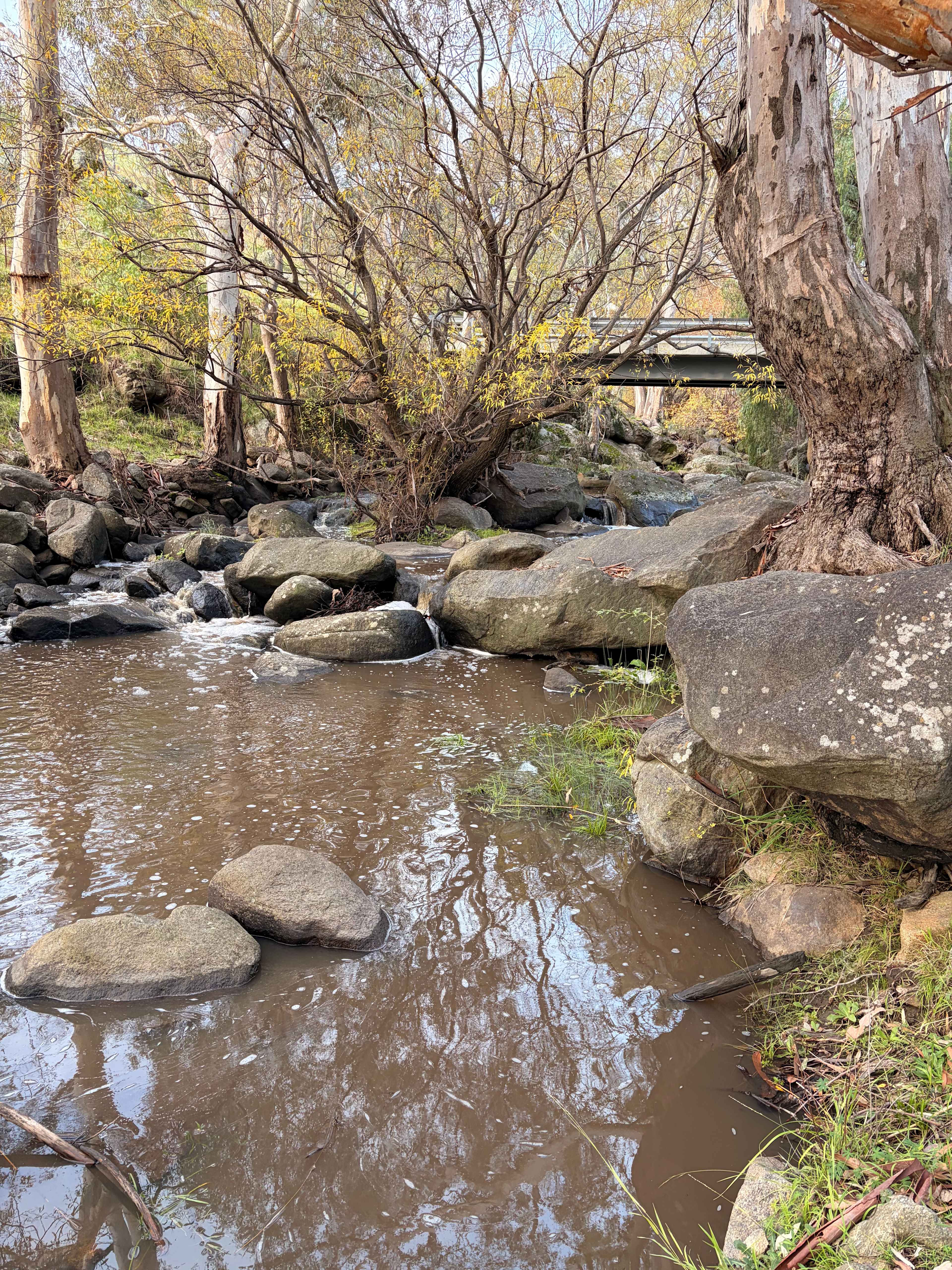 Glenmaye Farm – Creekside Camping