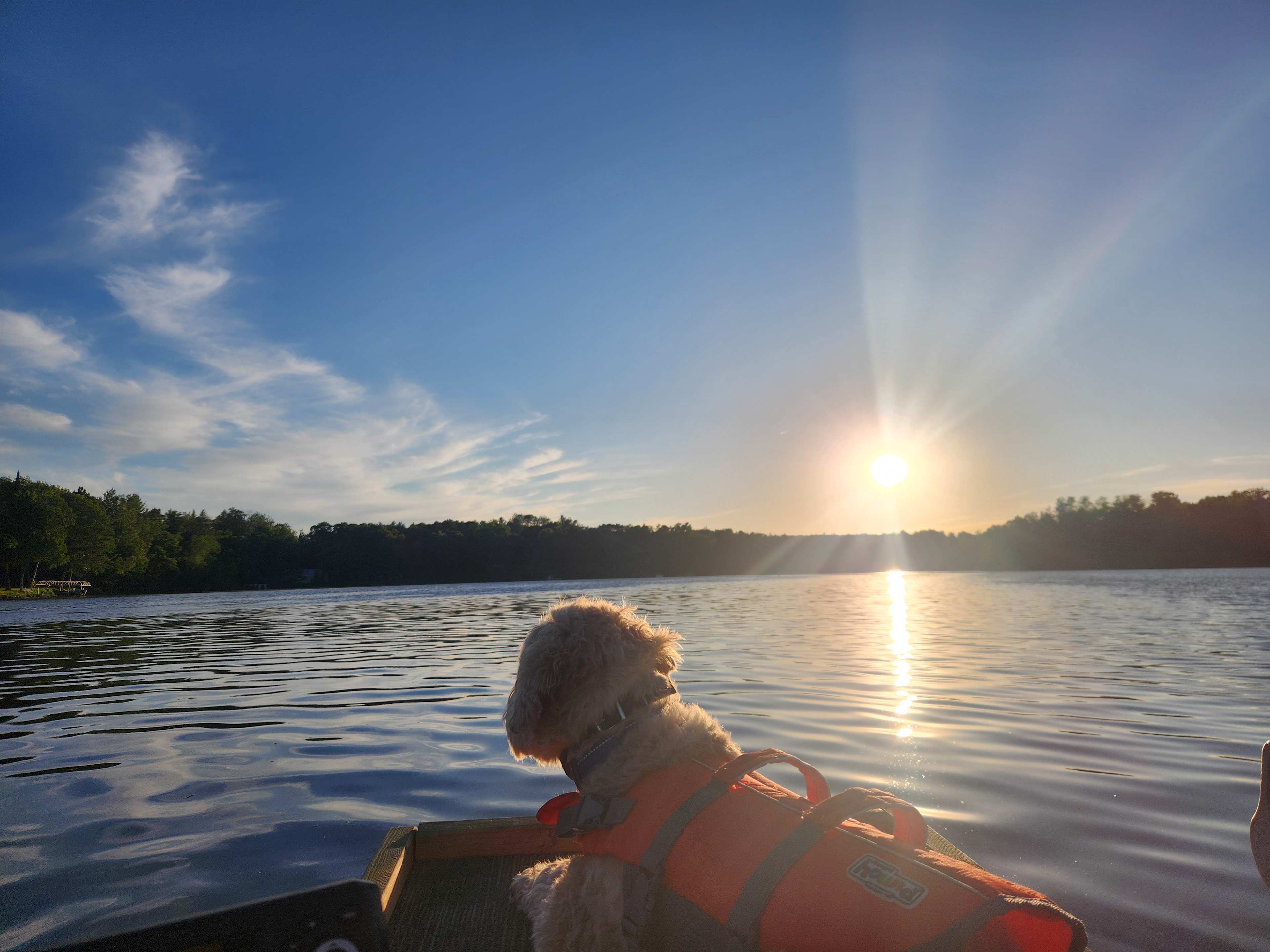 Trego Lake Lakefront Property