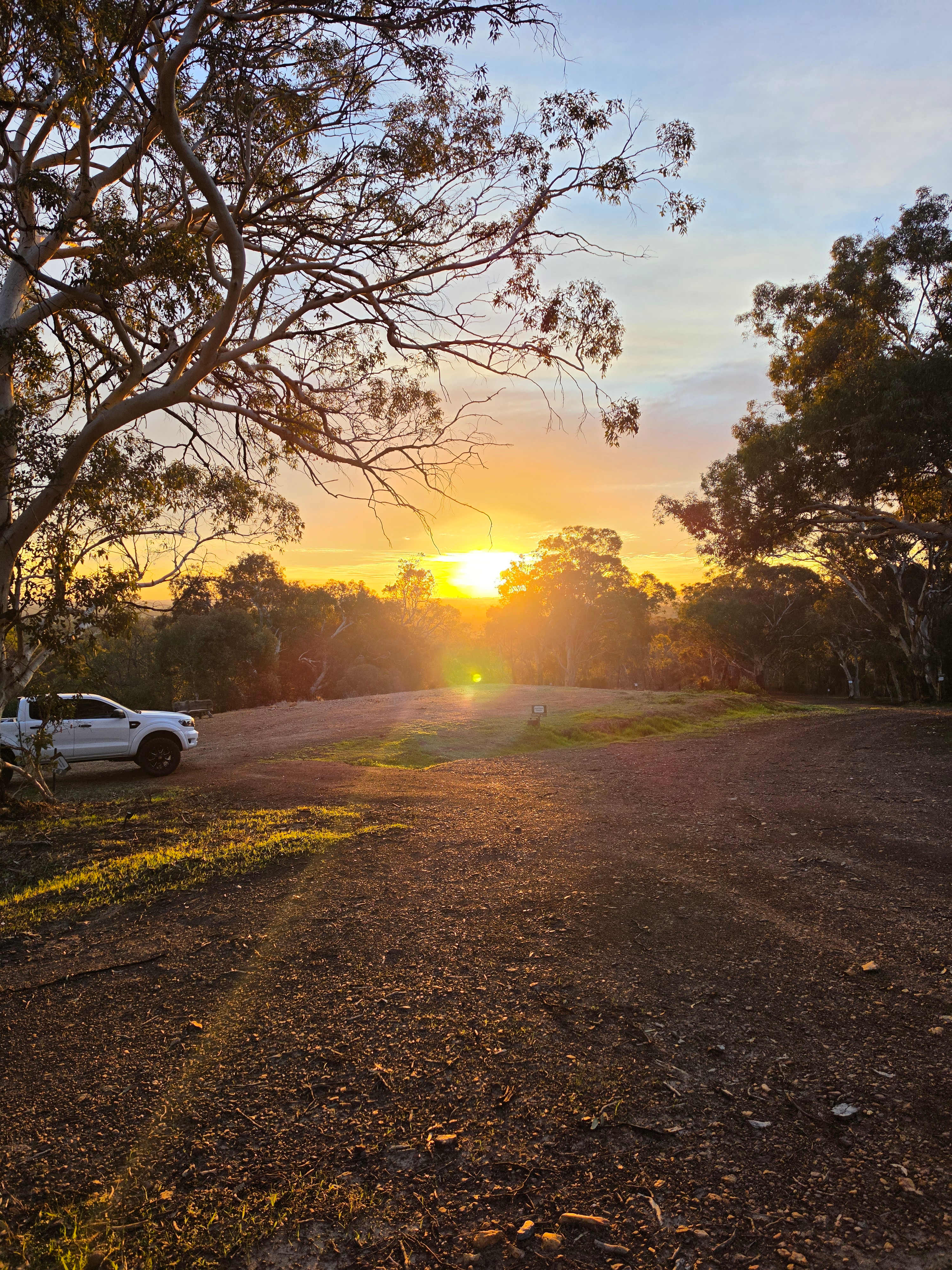 Yarrabah High Country- Jarrahdale