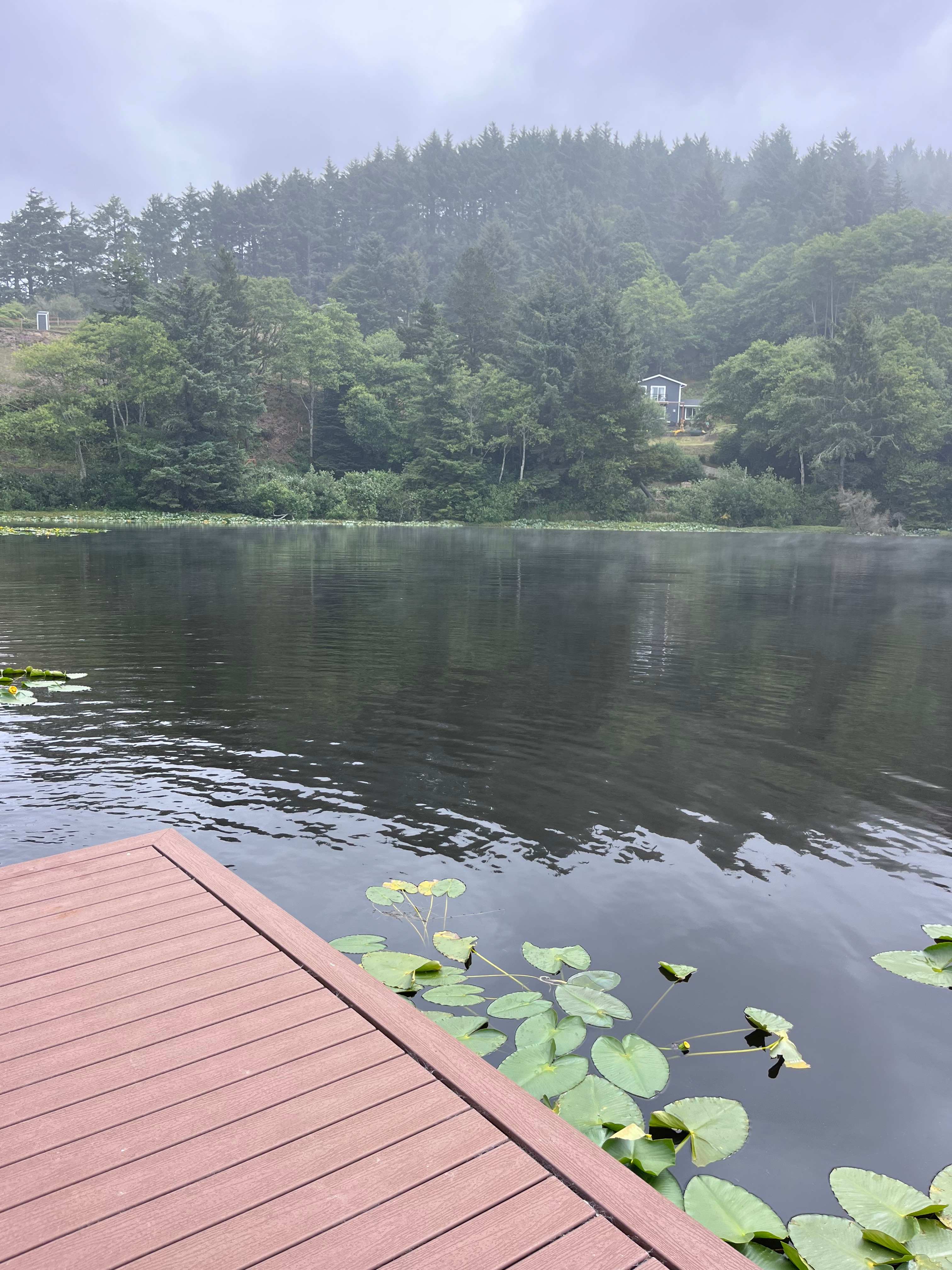 The Lake Pasture