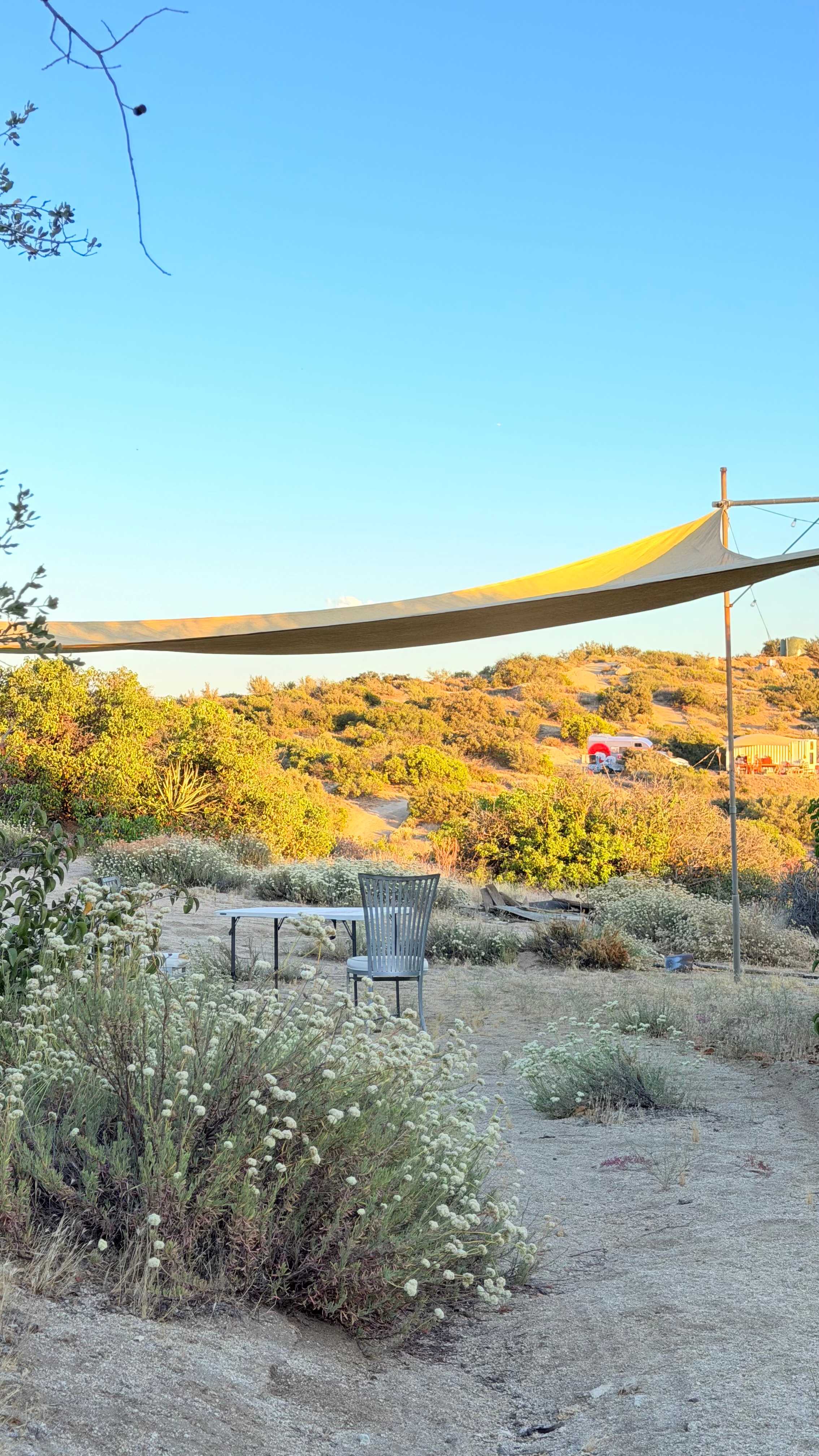 Picture of the site
