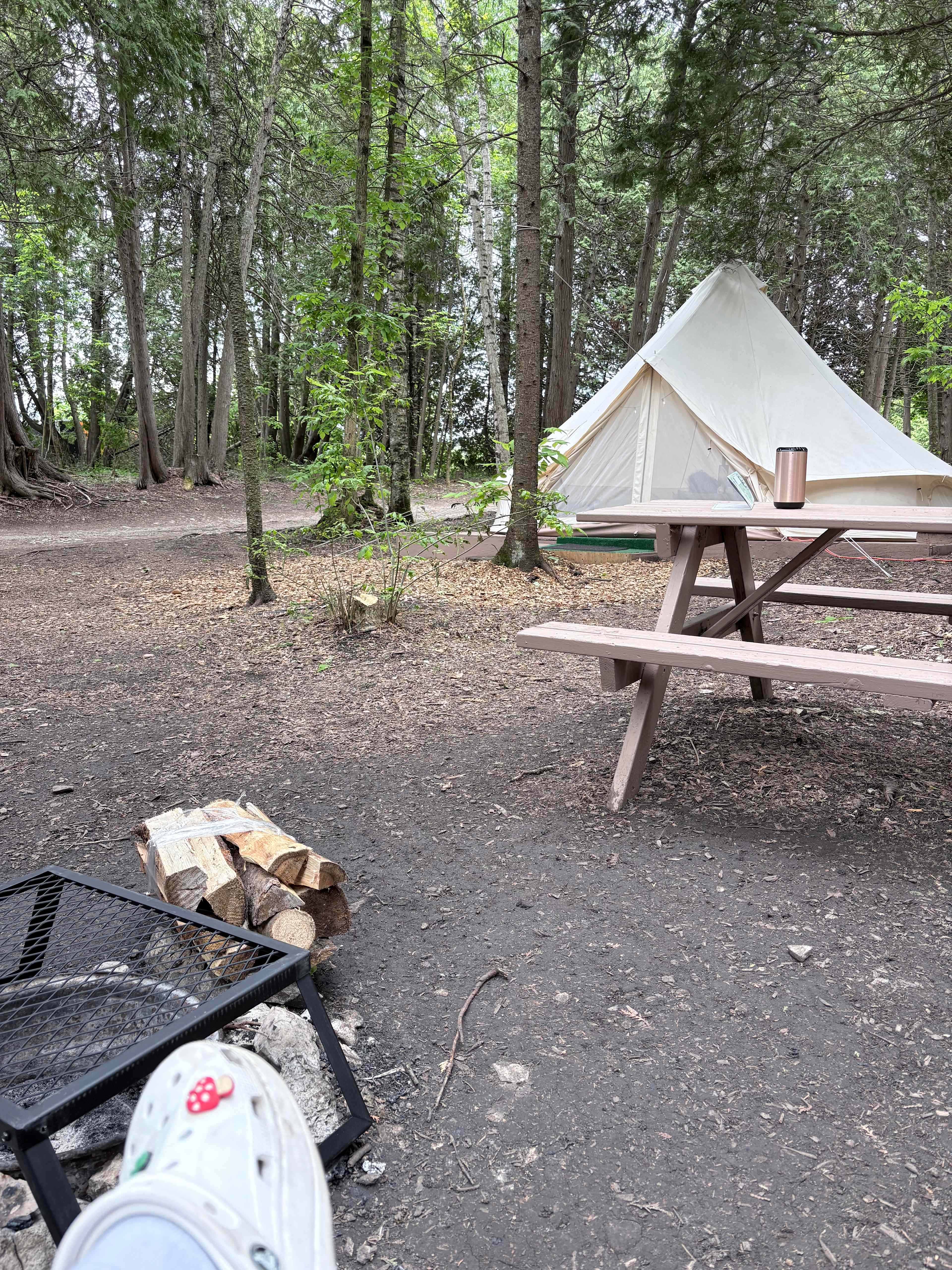 Tiki Hut Yurts