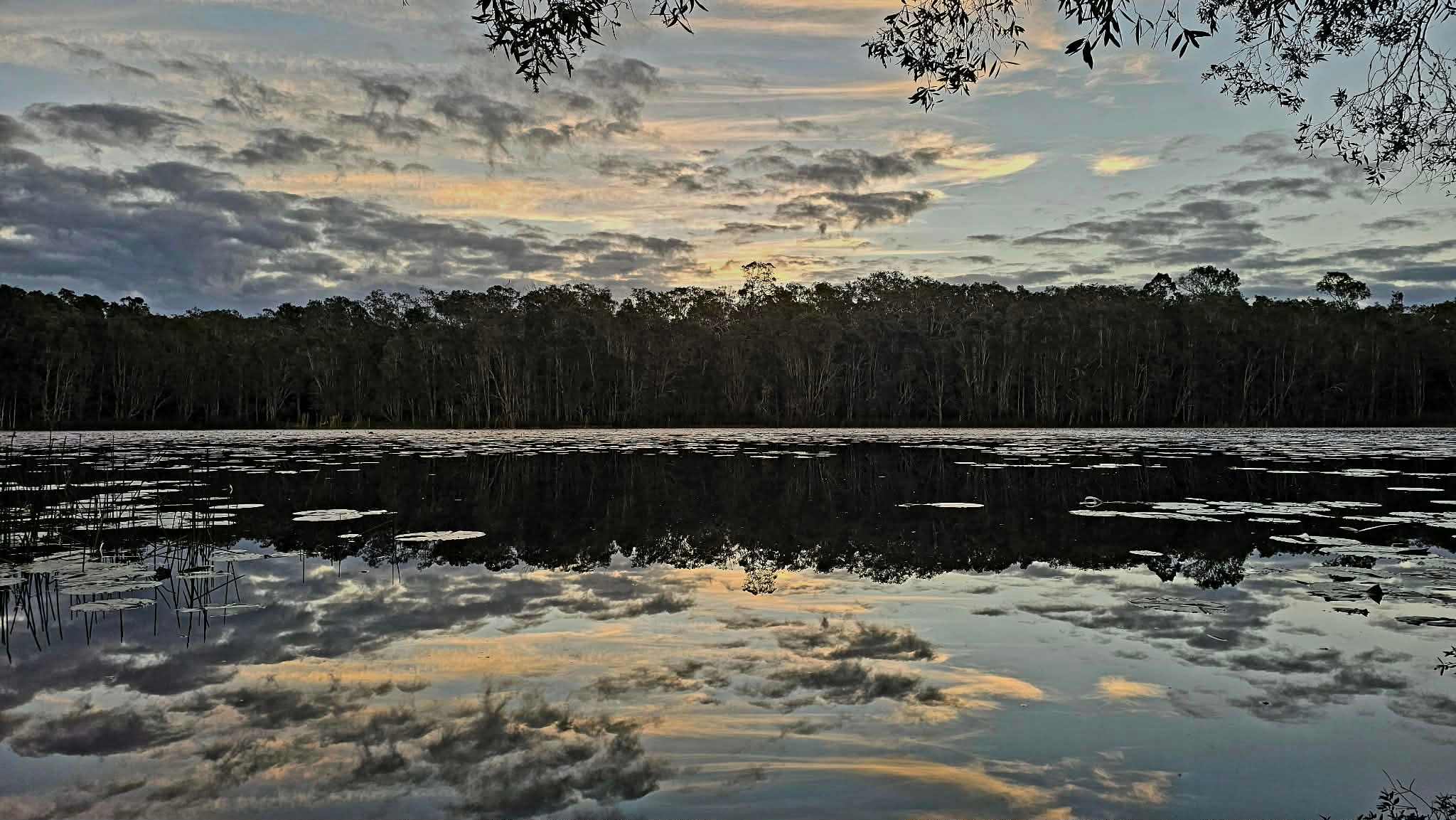 The Magic Pond