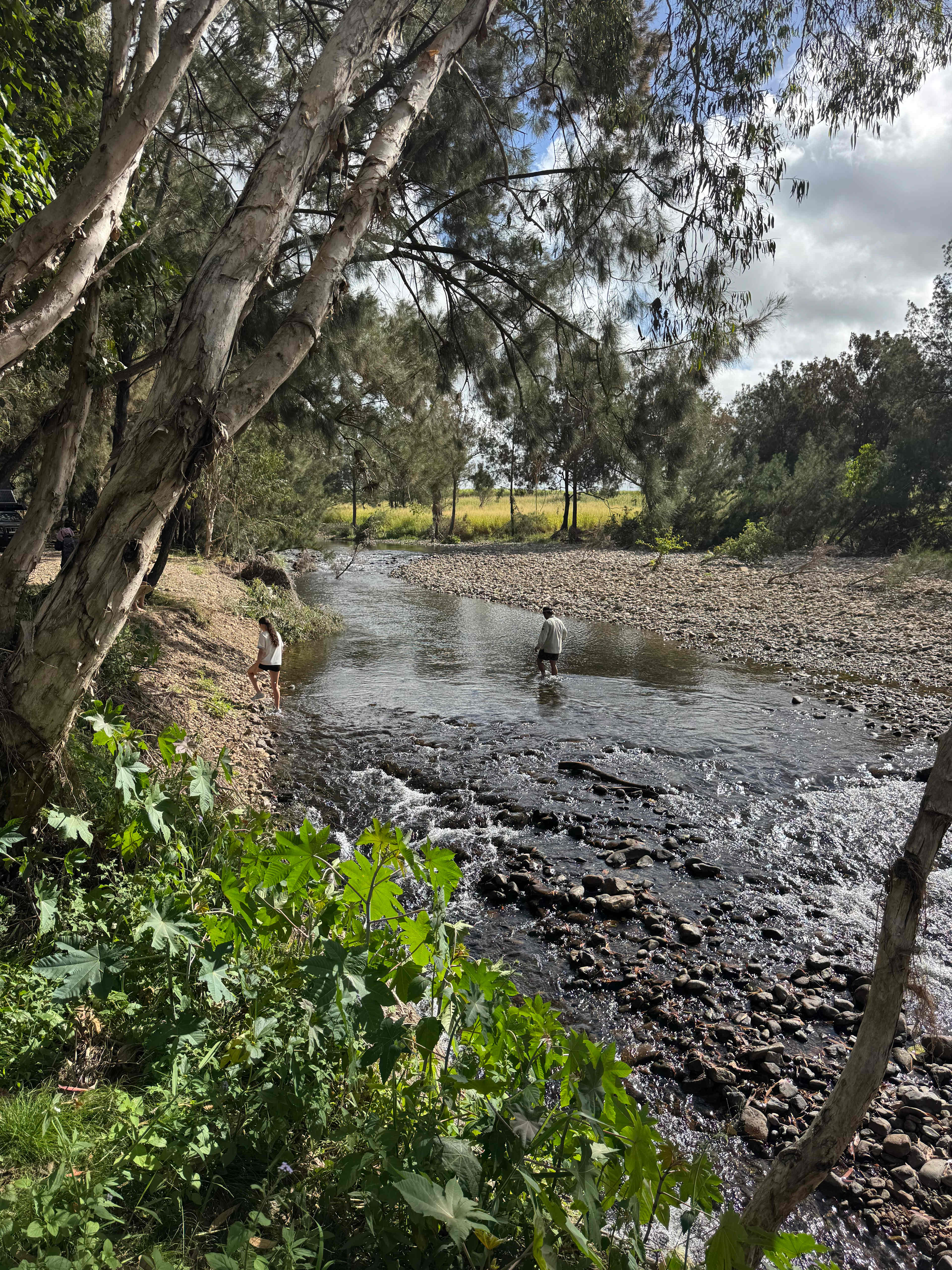 Creek and Antique Camping