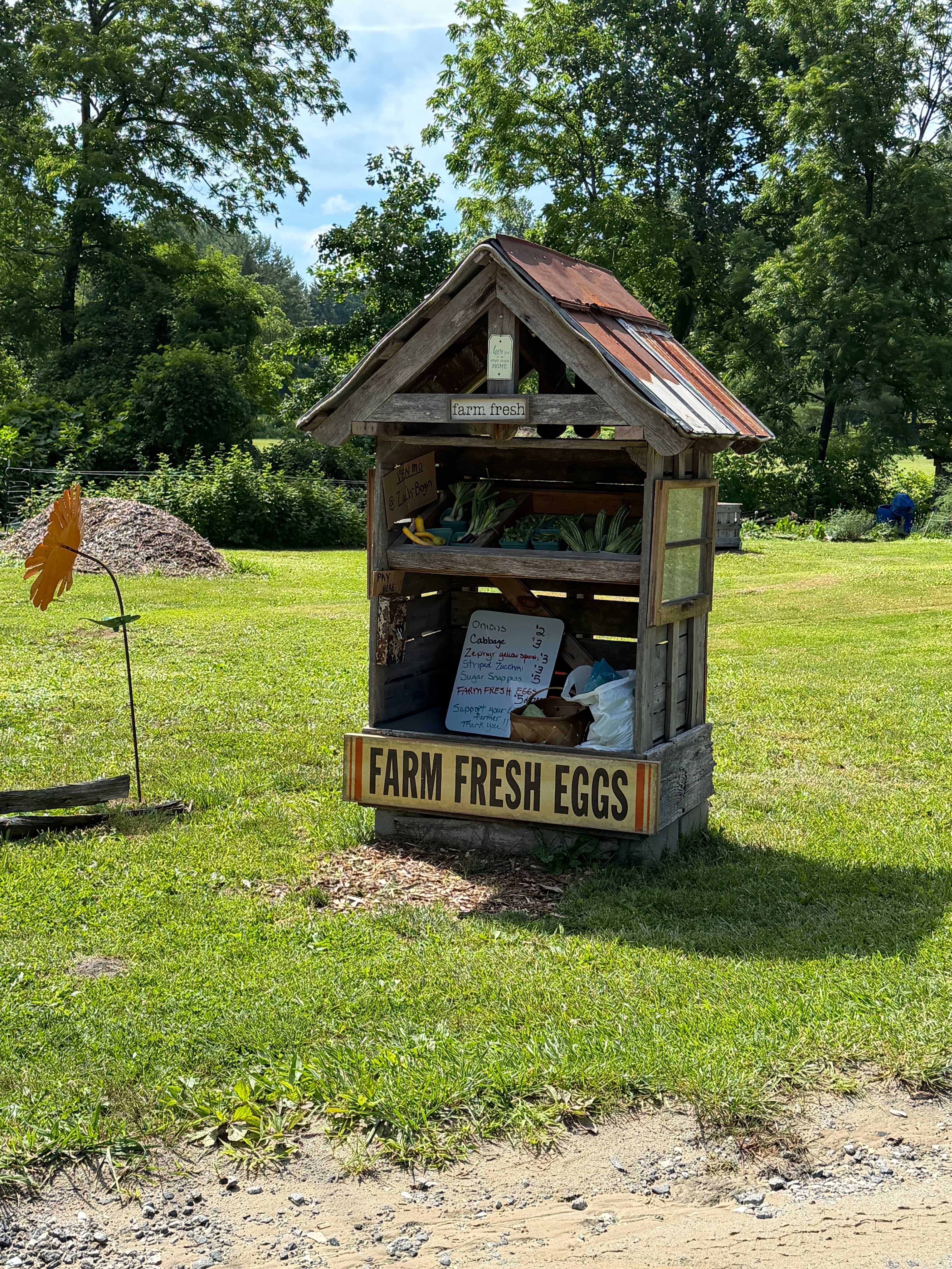 On the Ecusta Trail
