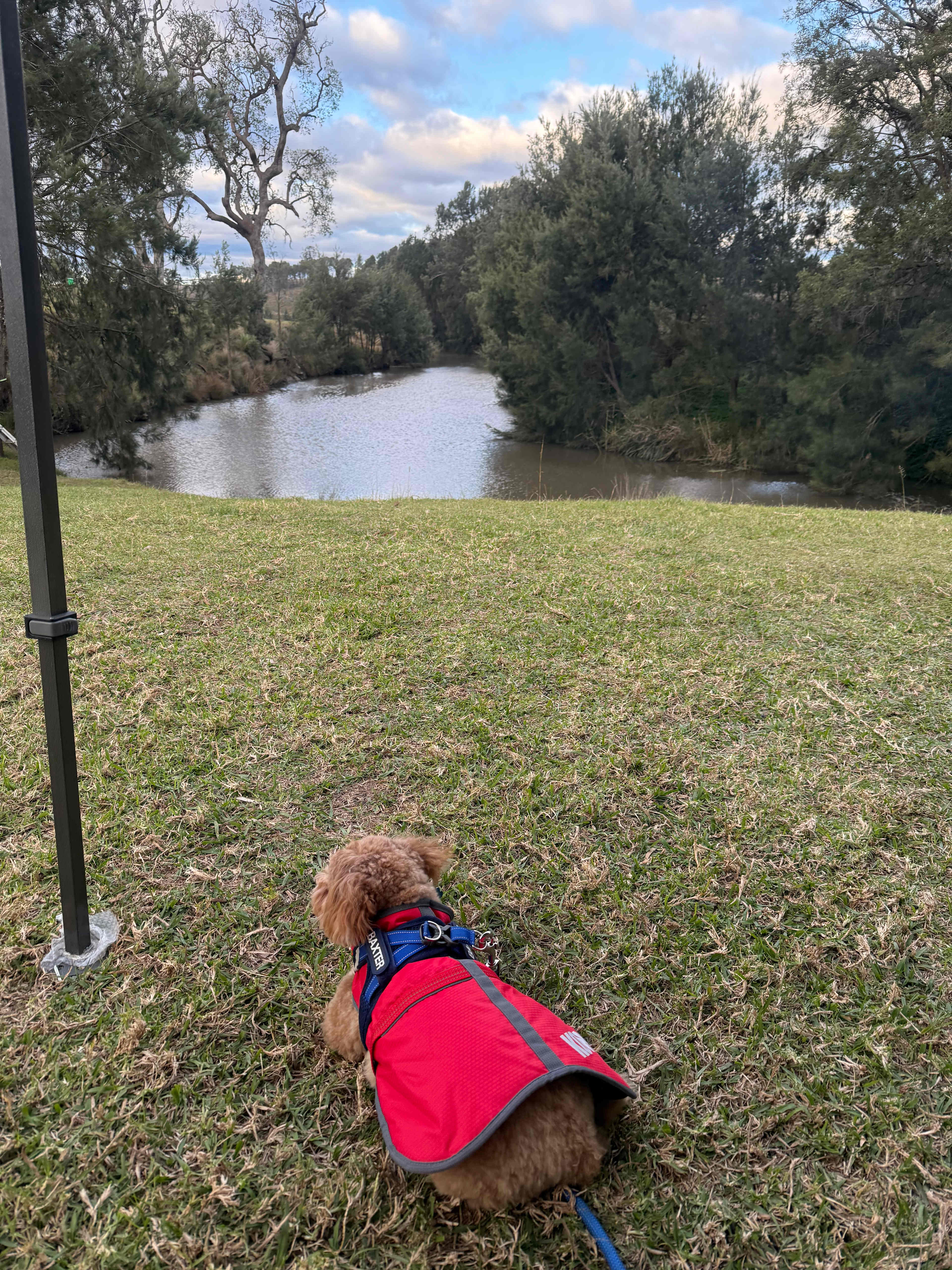 Berrima Camping & Farmstay