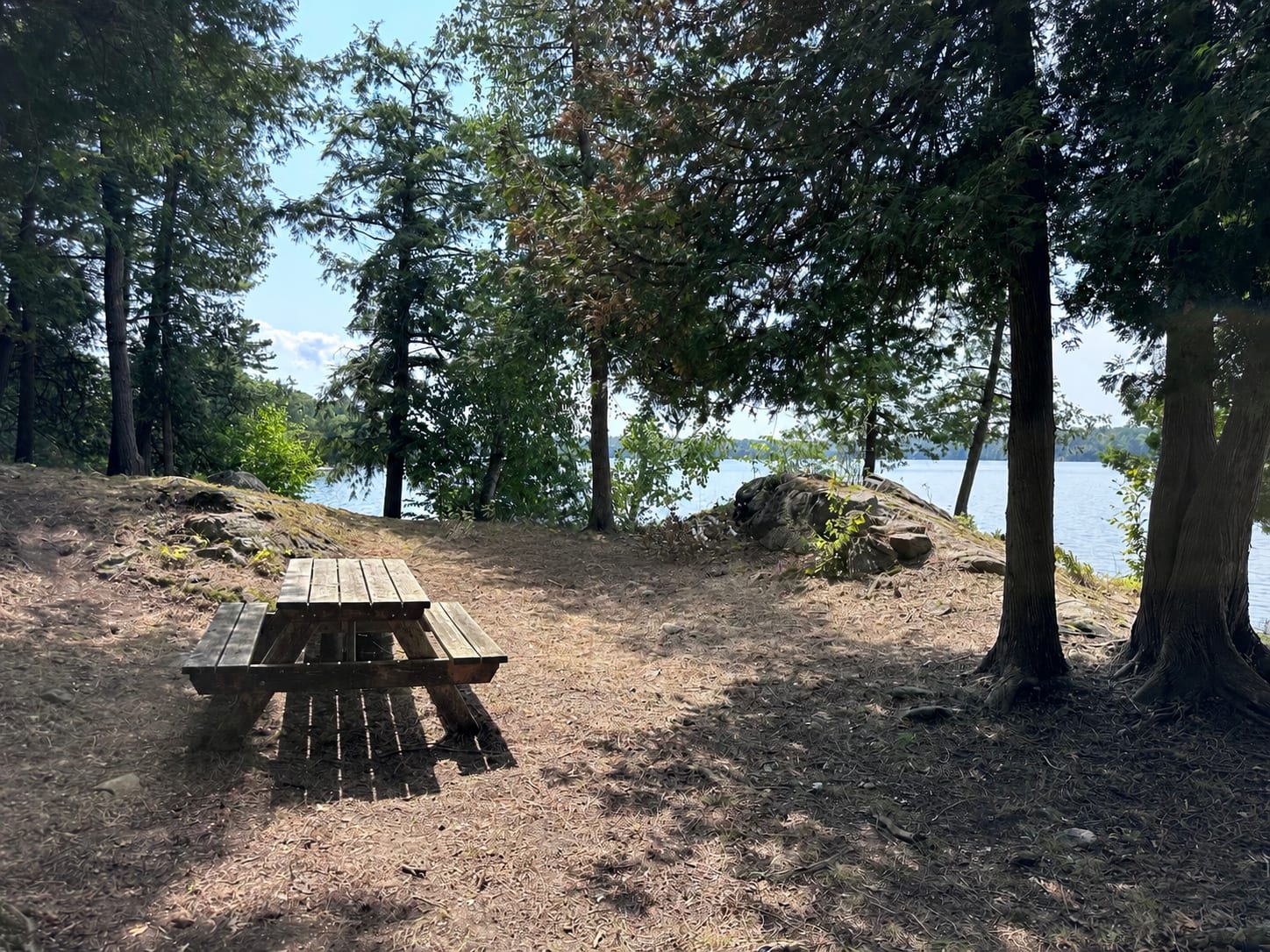 Picture of the site