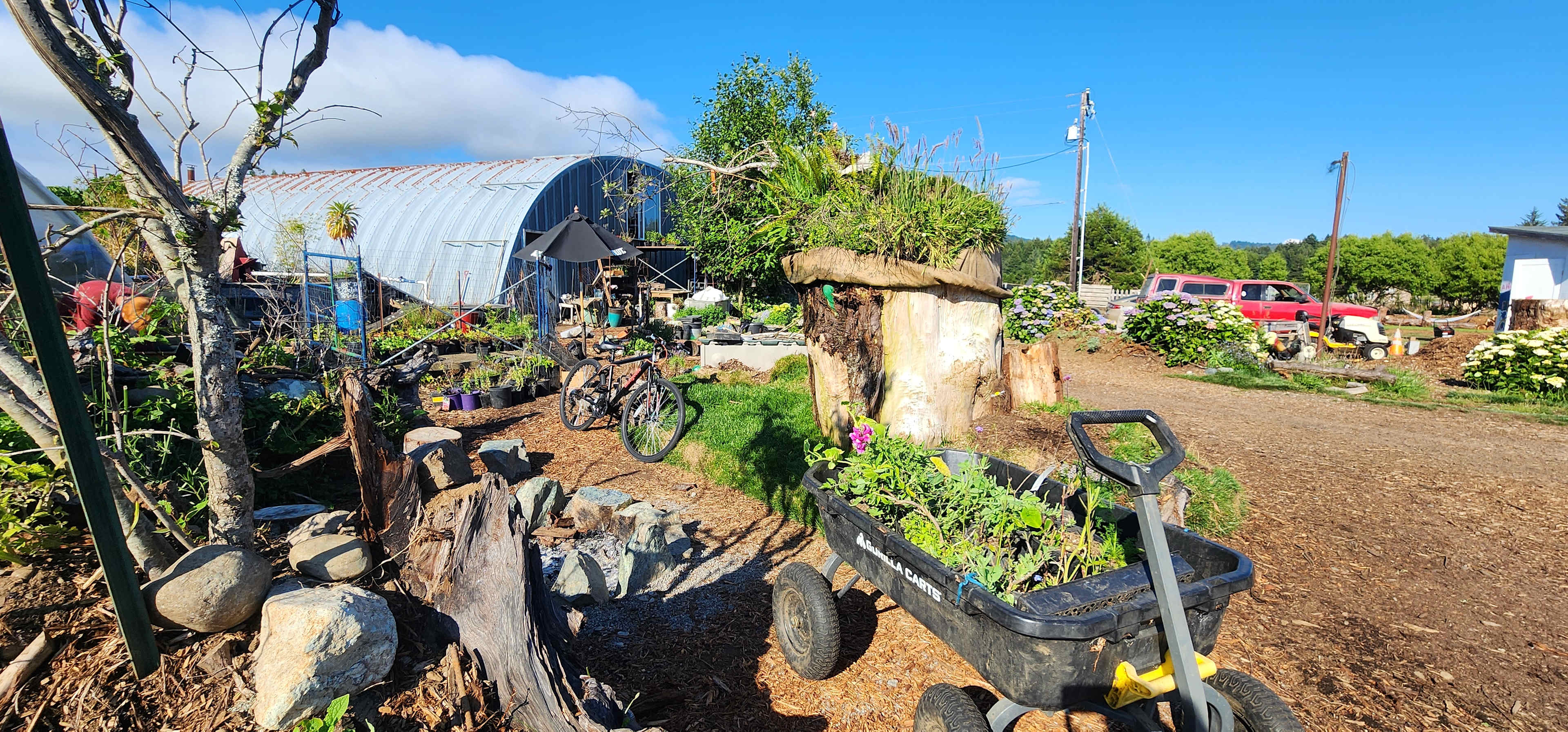 Farm activities 