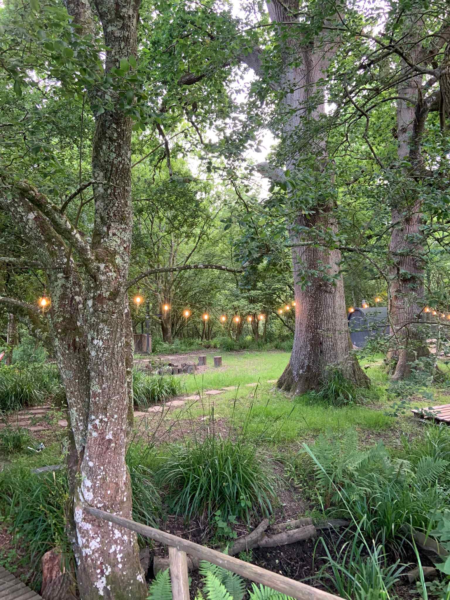 Field and Fallow Pop-Up Campsite