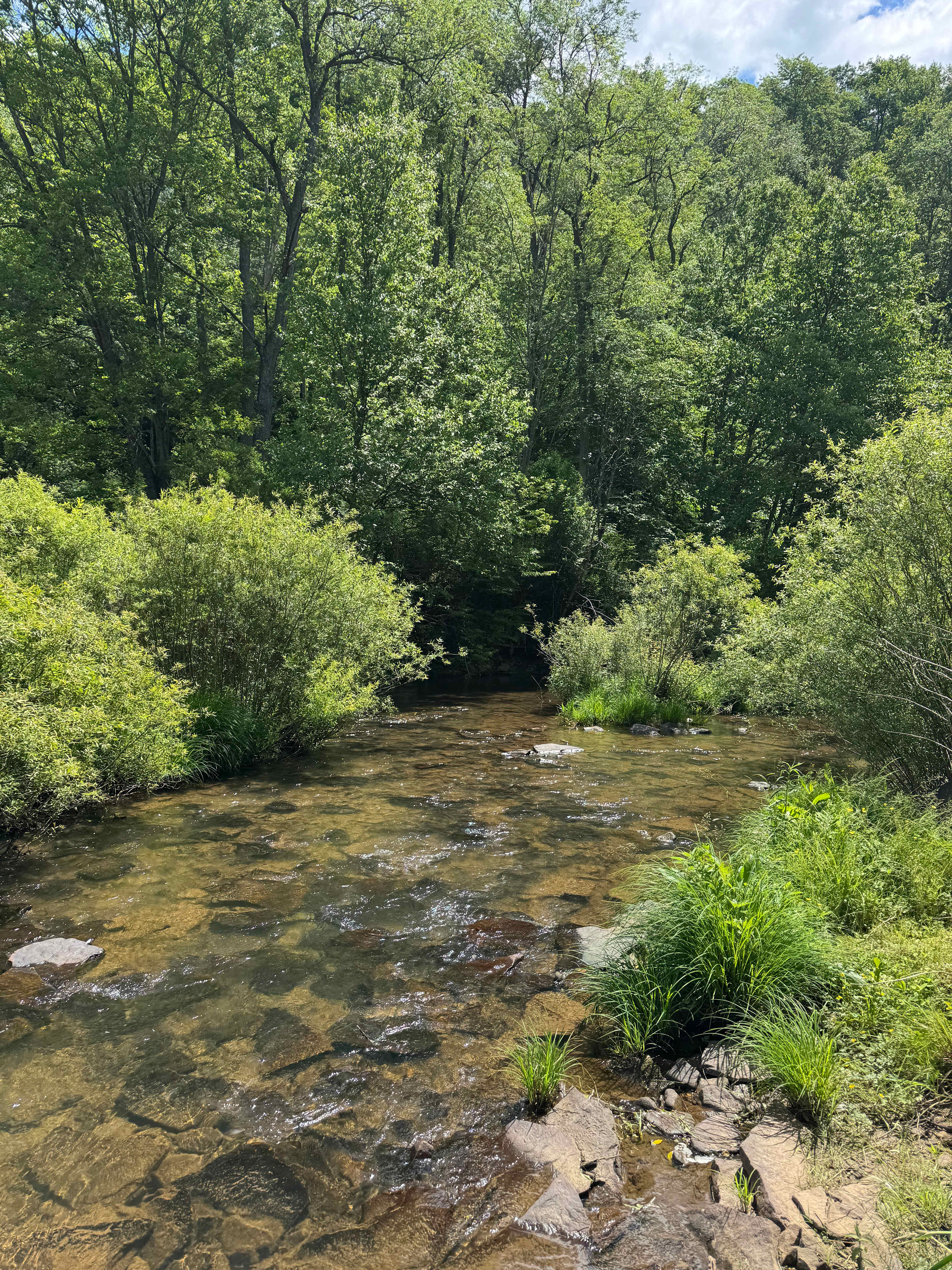 Austin Dam Memorial Park