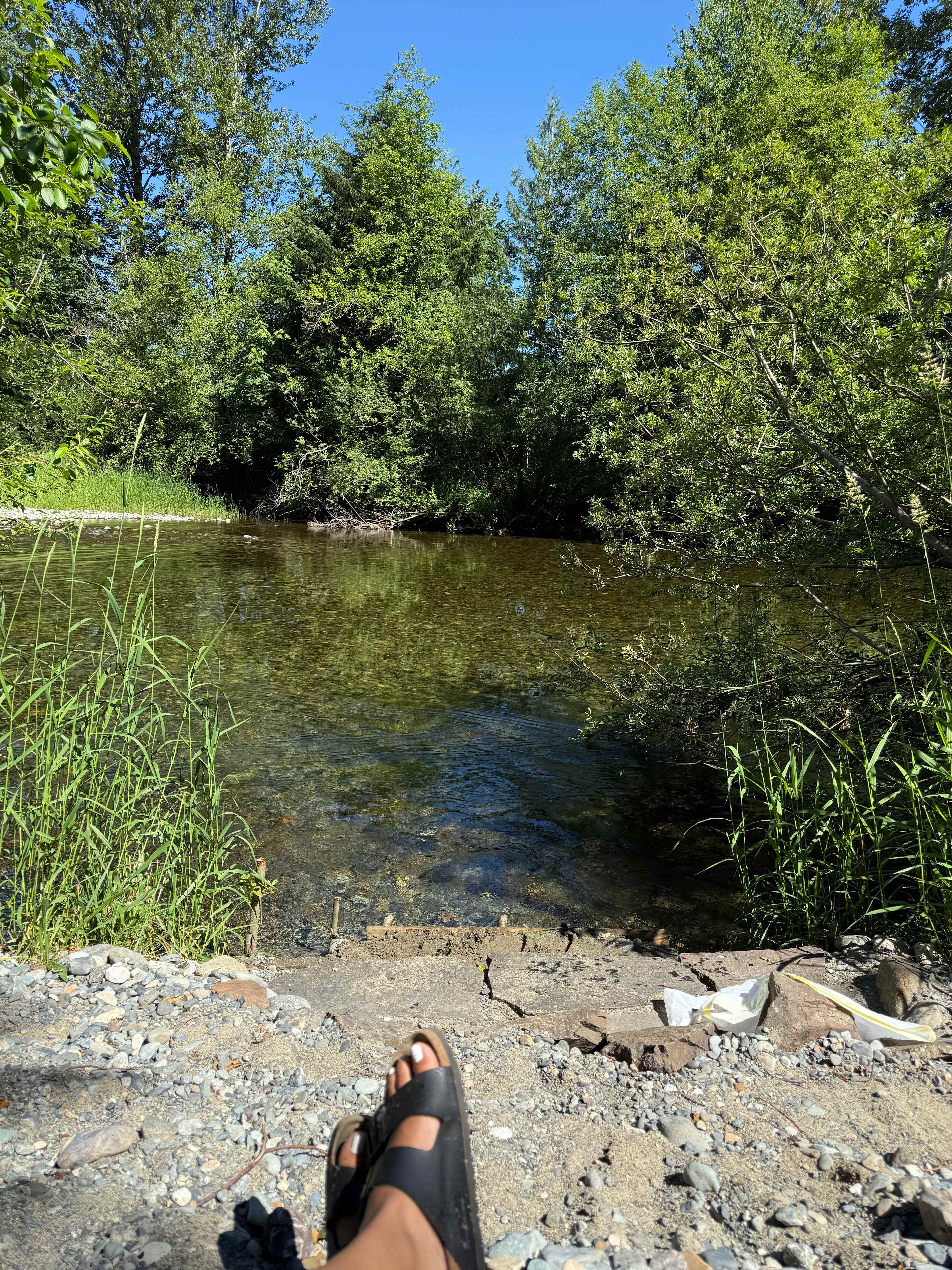 Picture of the site