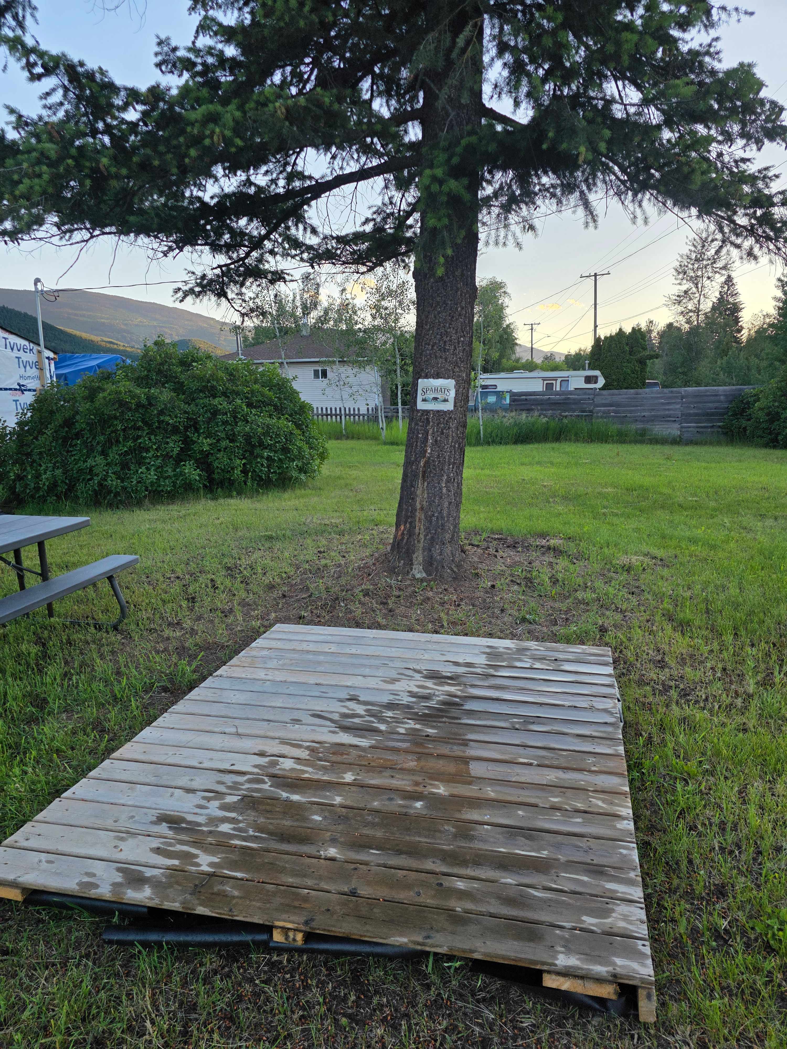 Picture of the site