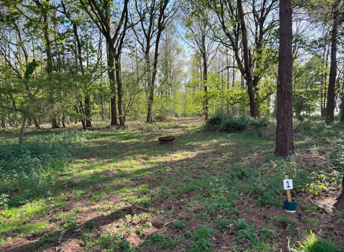 Picture of the site