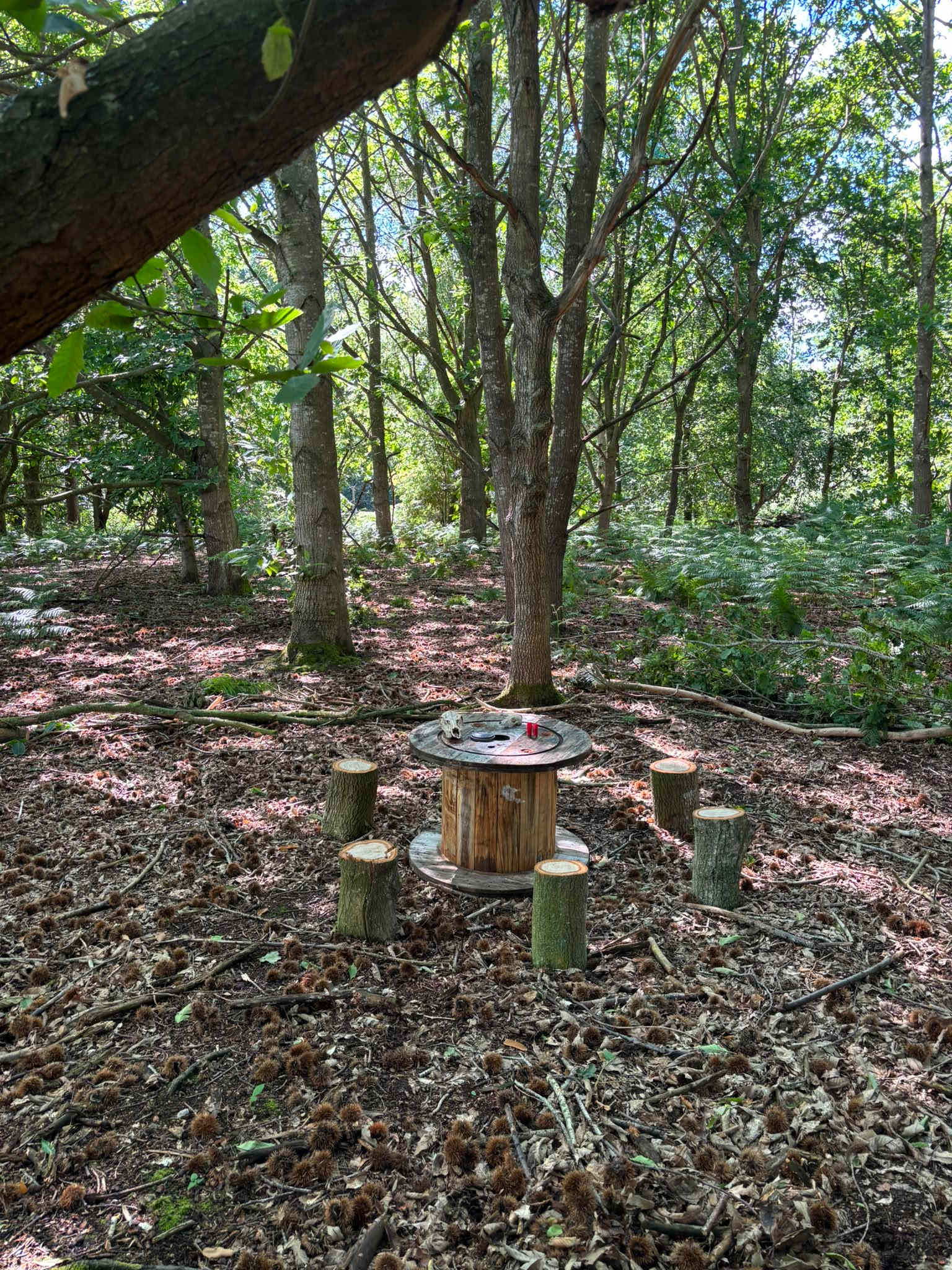 Picture of the site