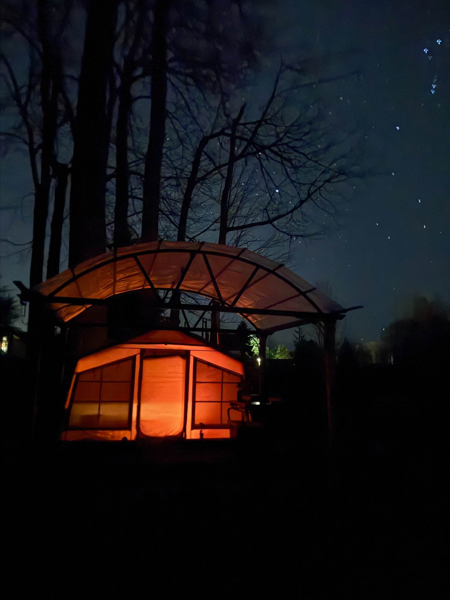 Dungeness Island Tent Sites