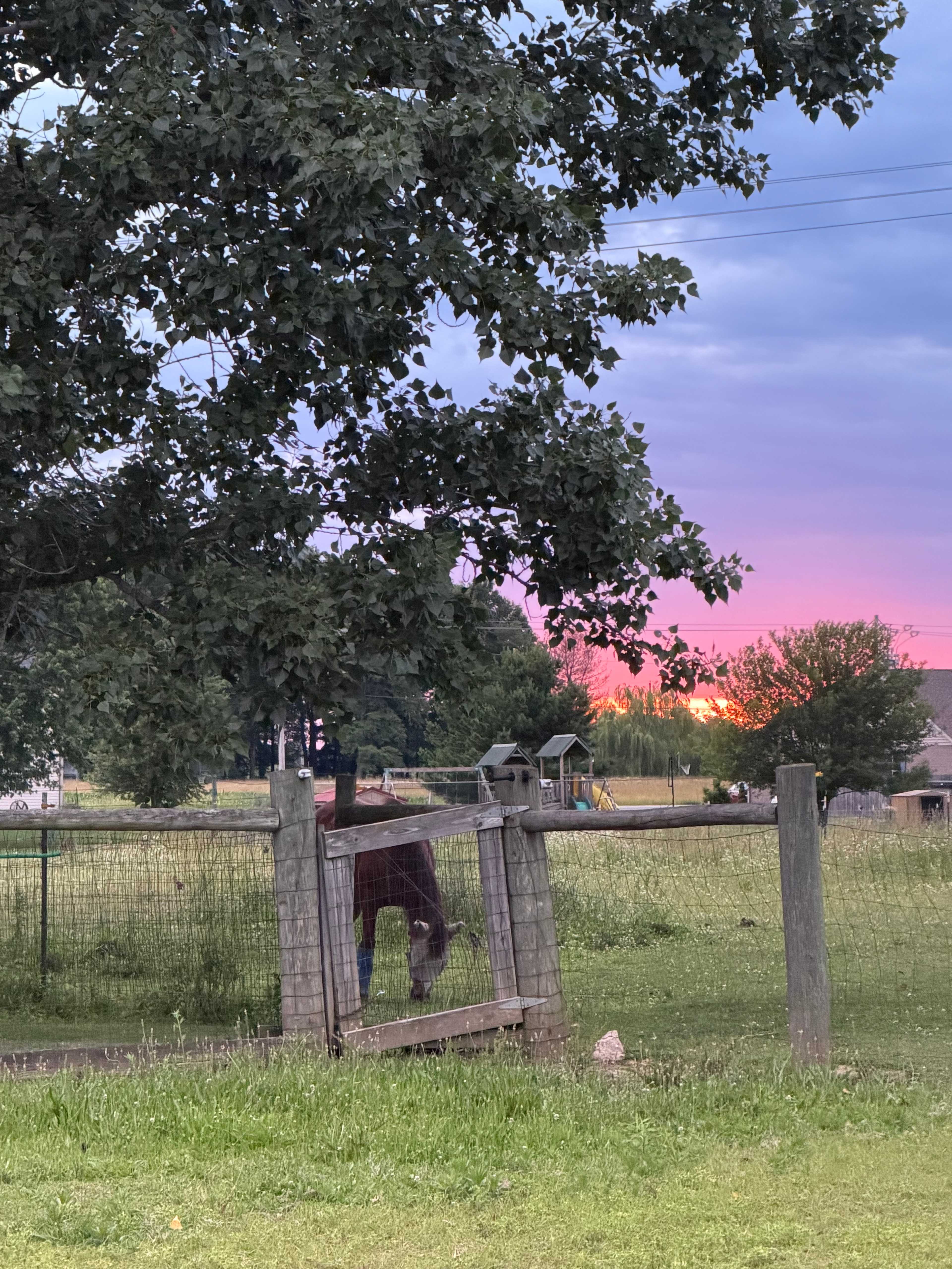 Havendell Farm and Wayside
