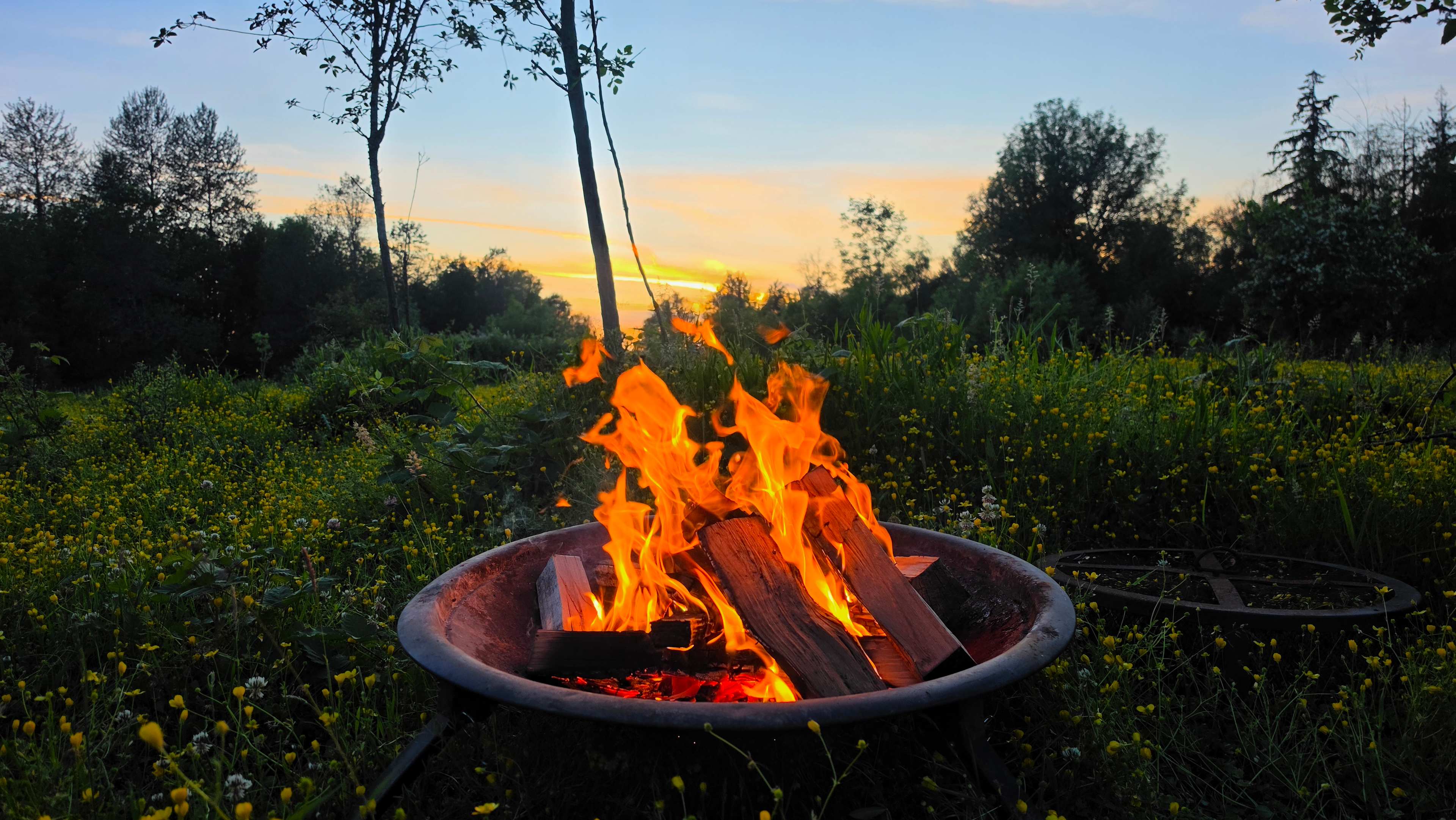 Elysian Retreat