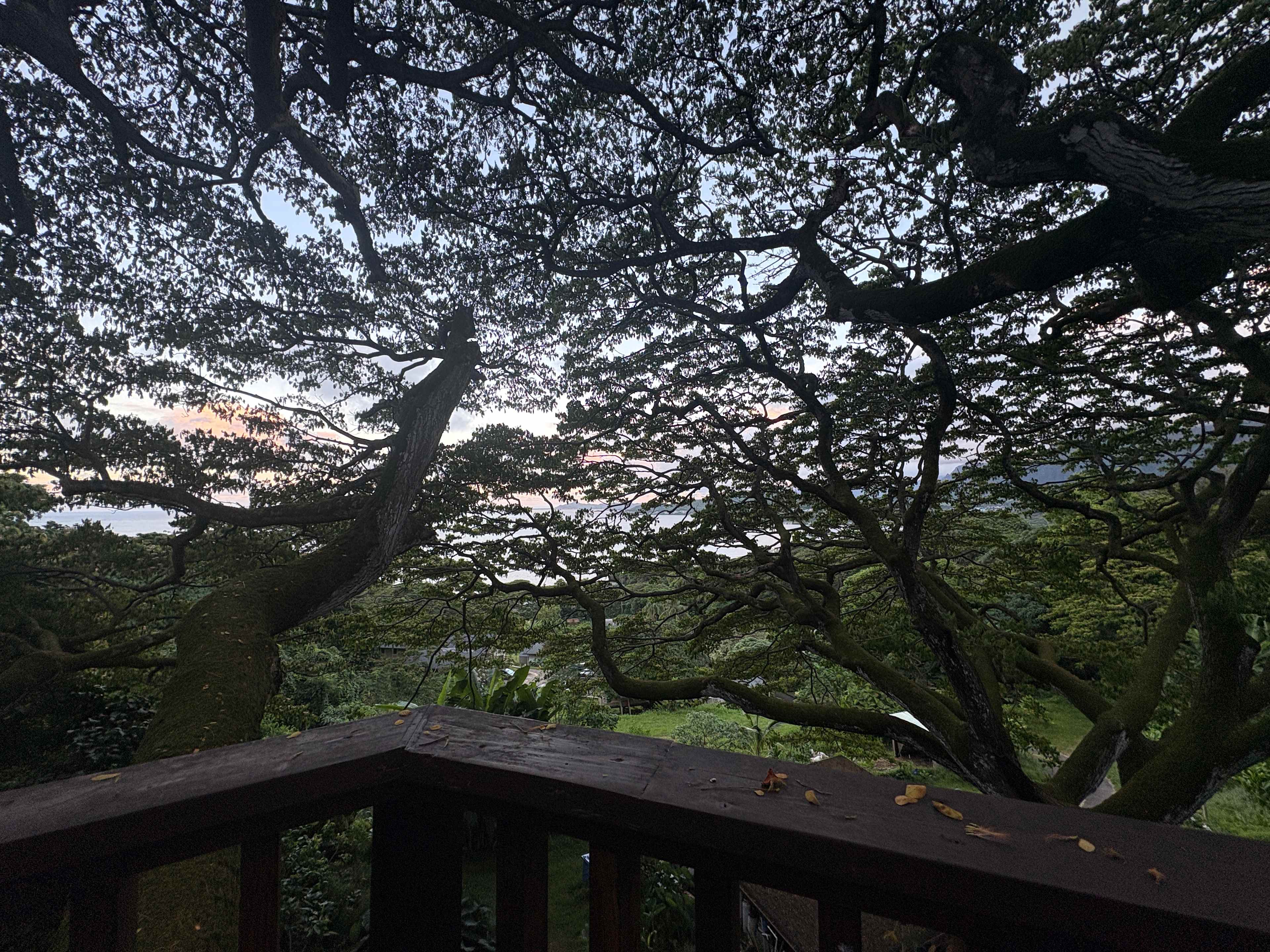 Gorgeous Views-Farm-Jungle,-Glamp!