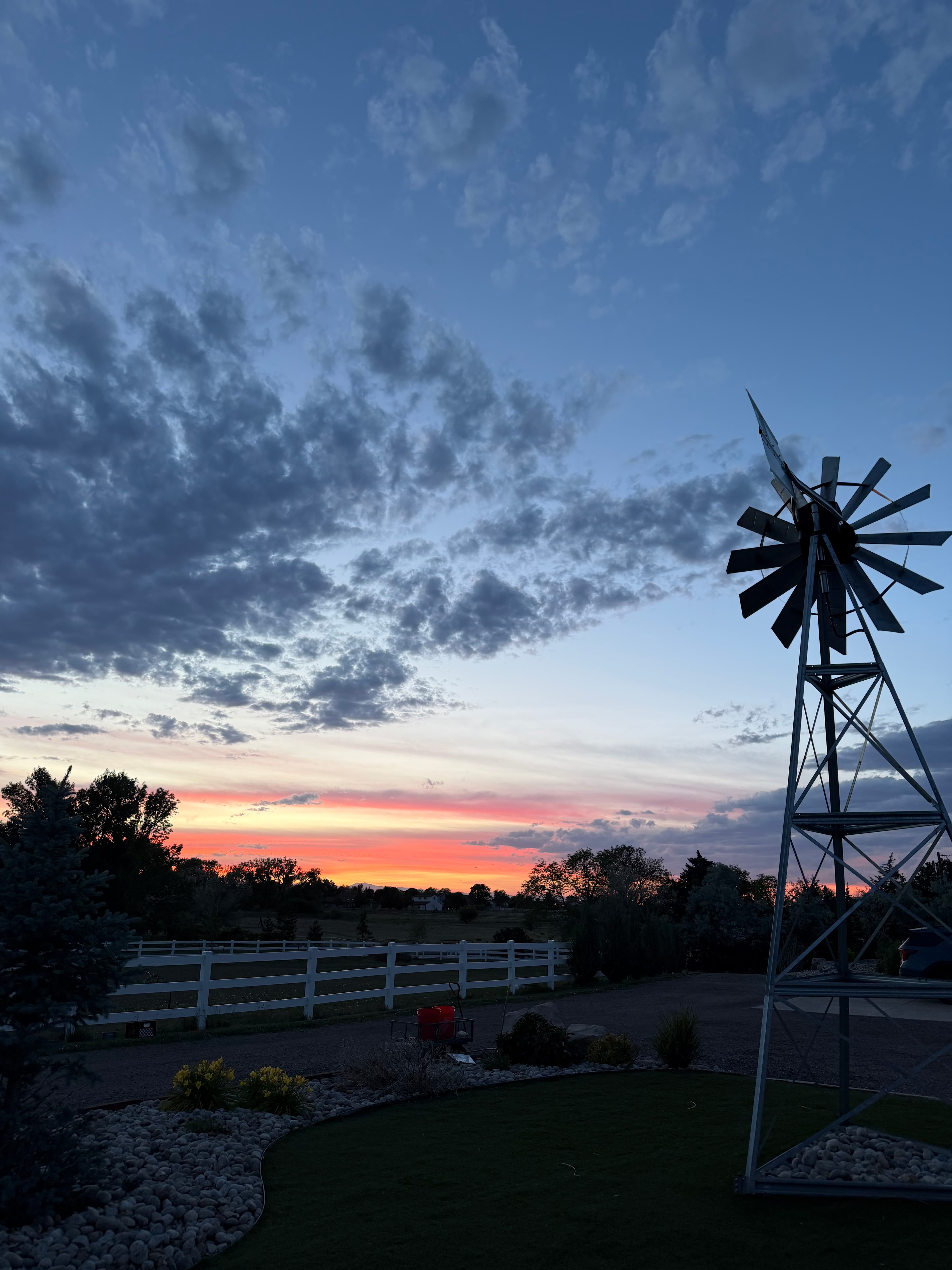 Bizzy Bee Farm