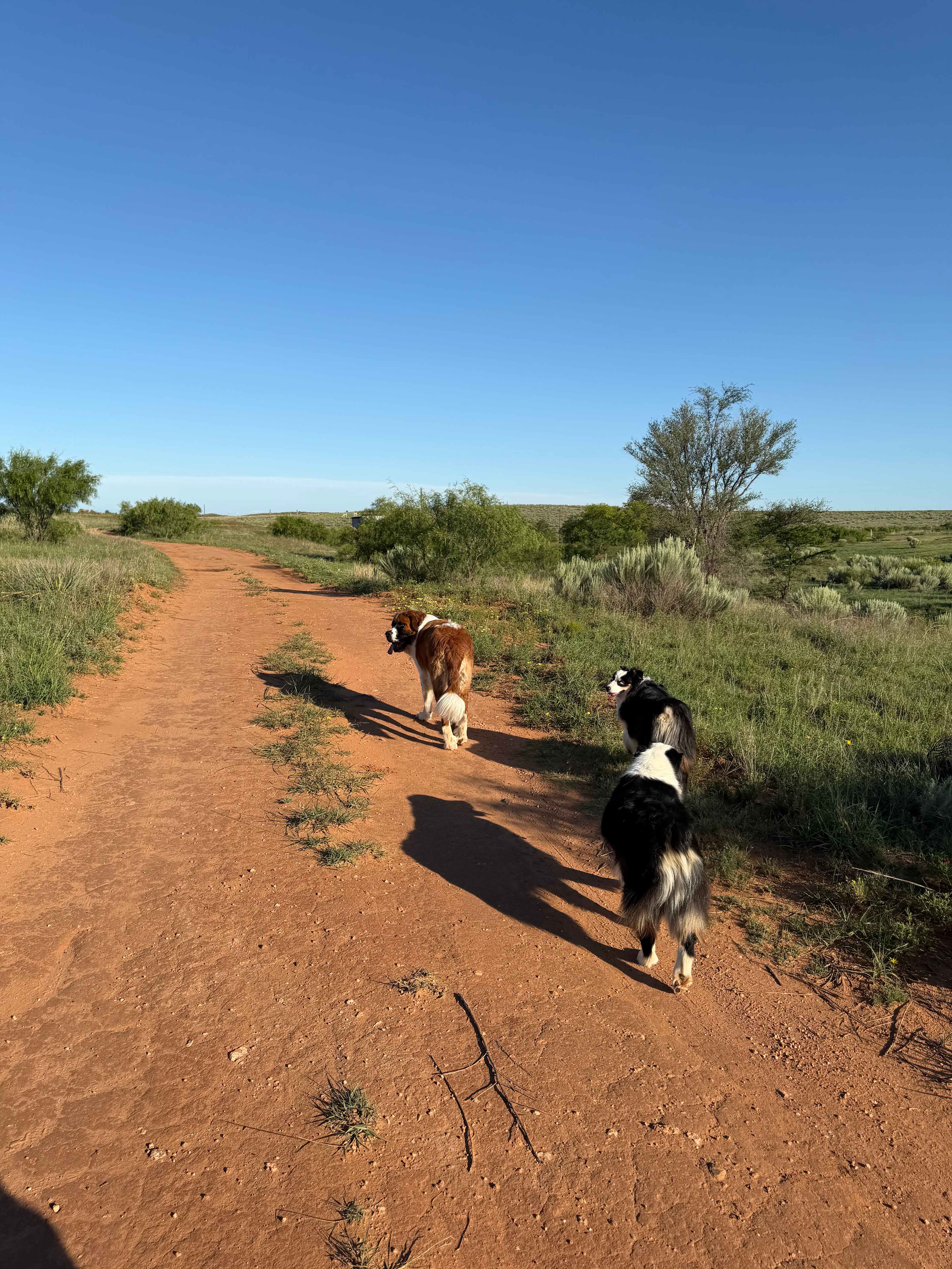 Remote Lone Mound Ranch