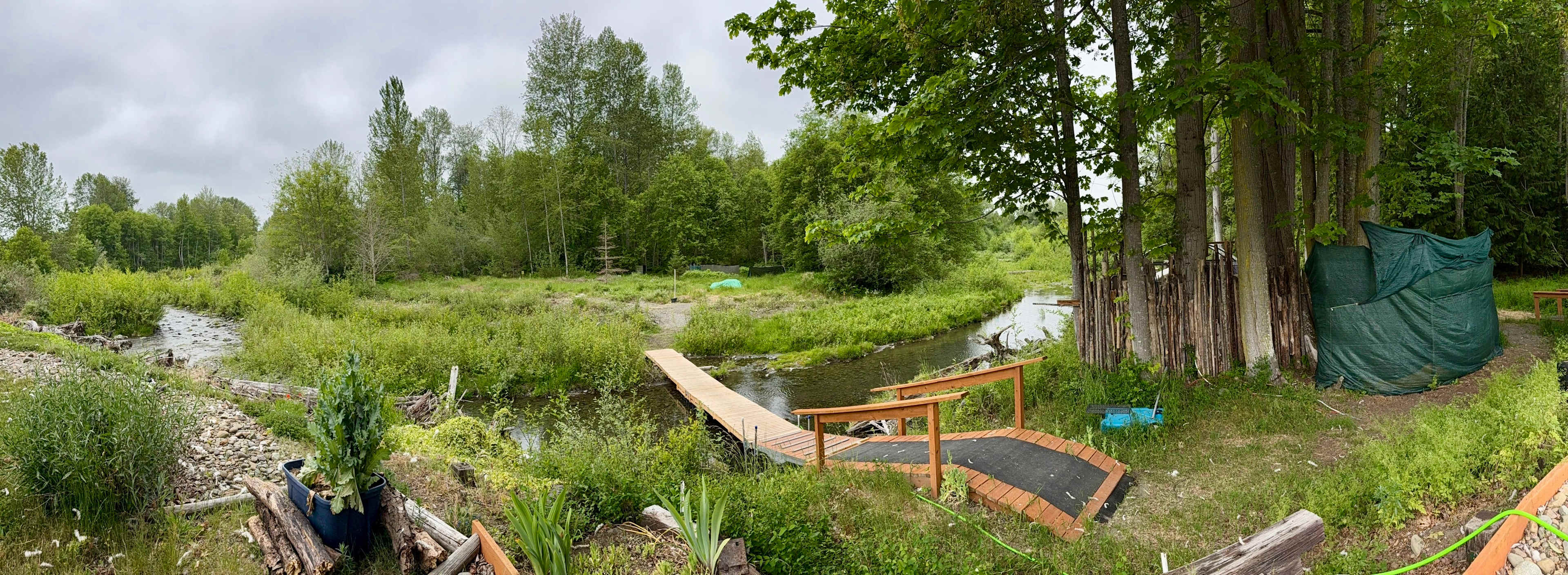 Picture of the site