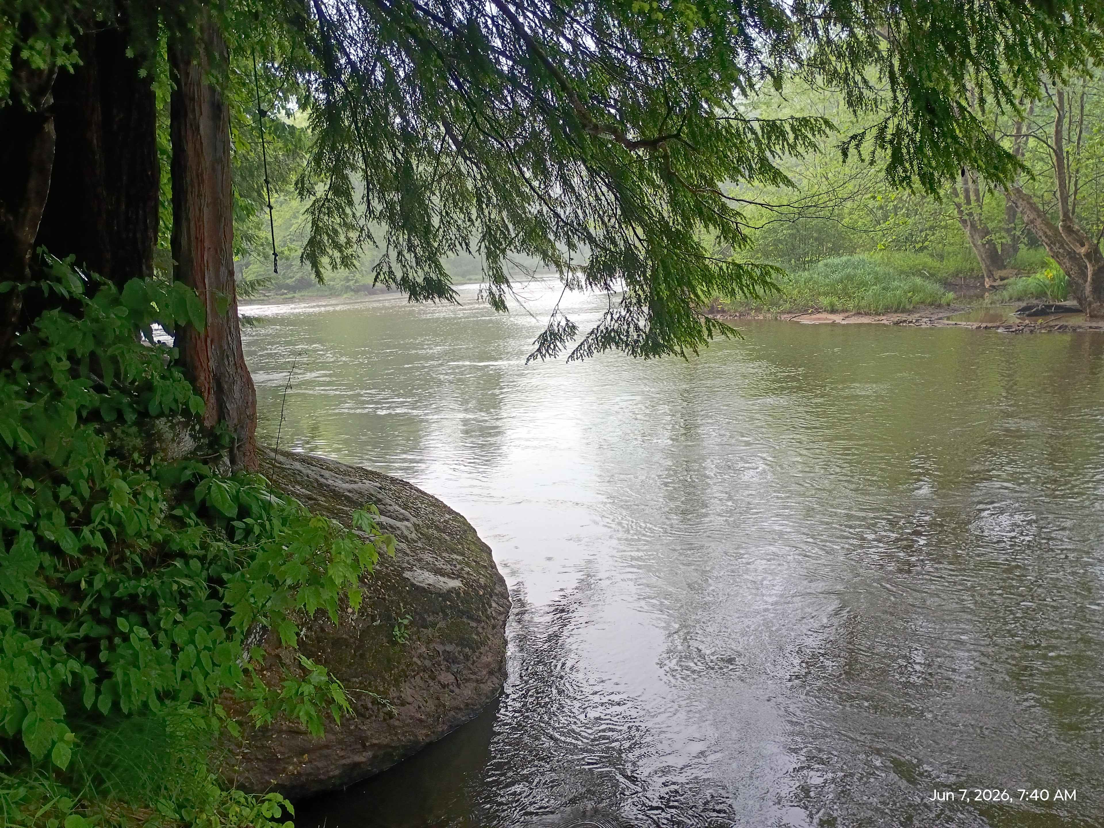 The Nest - Creekfront Cabin In ANF