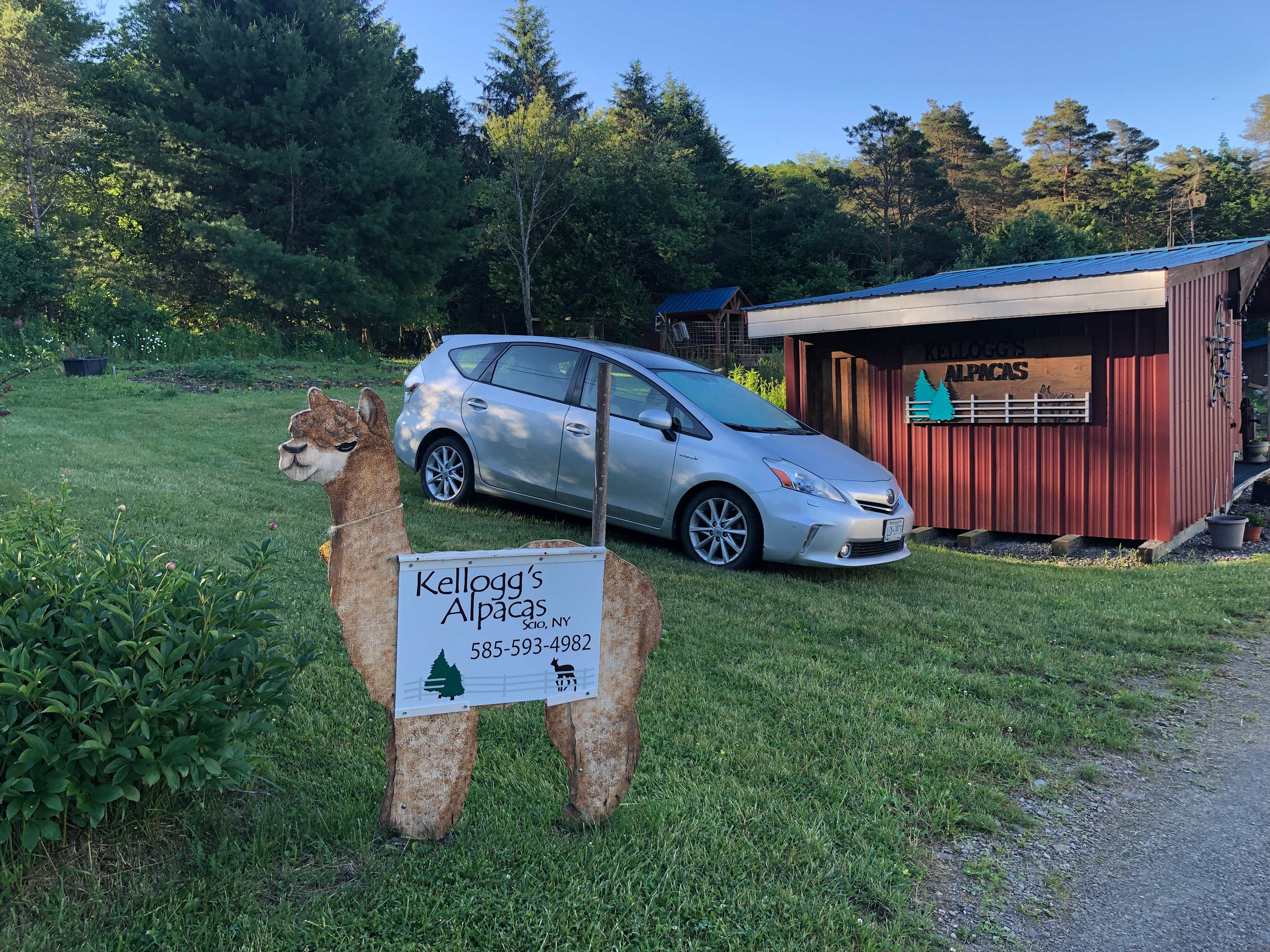 Picture of the site