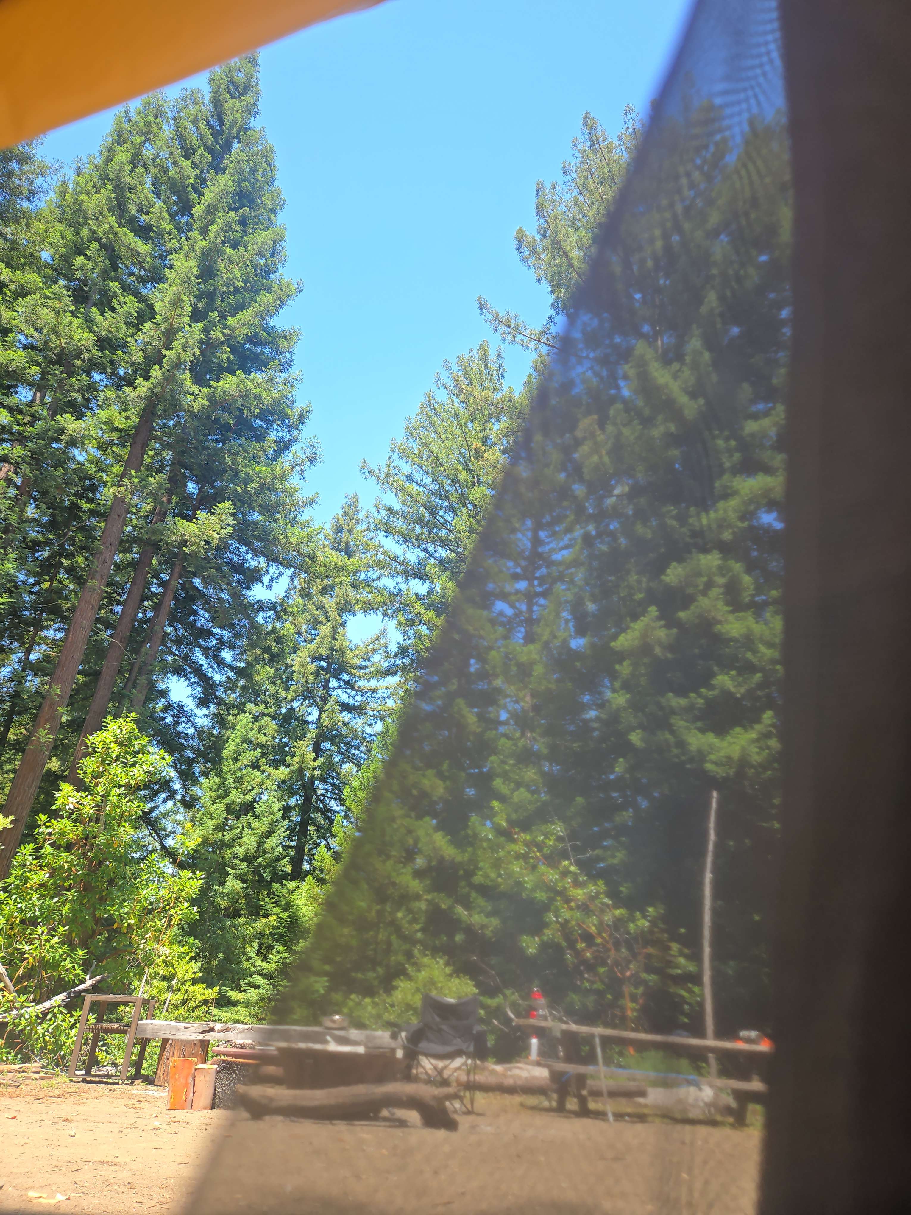 View from the tent 