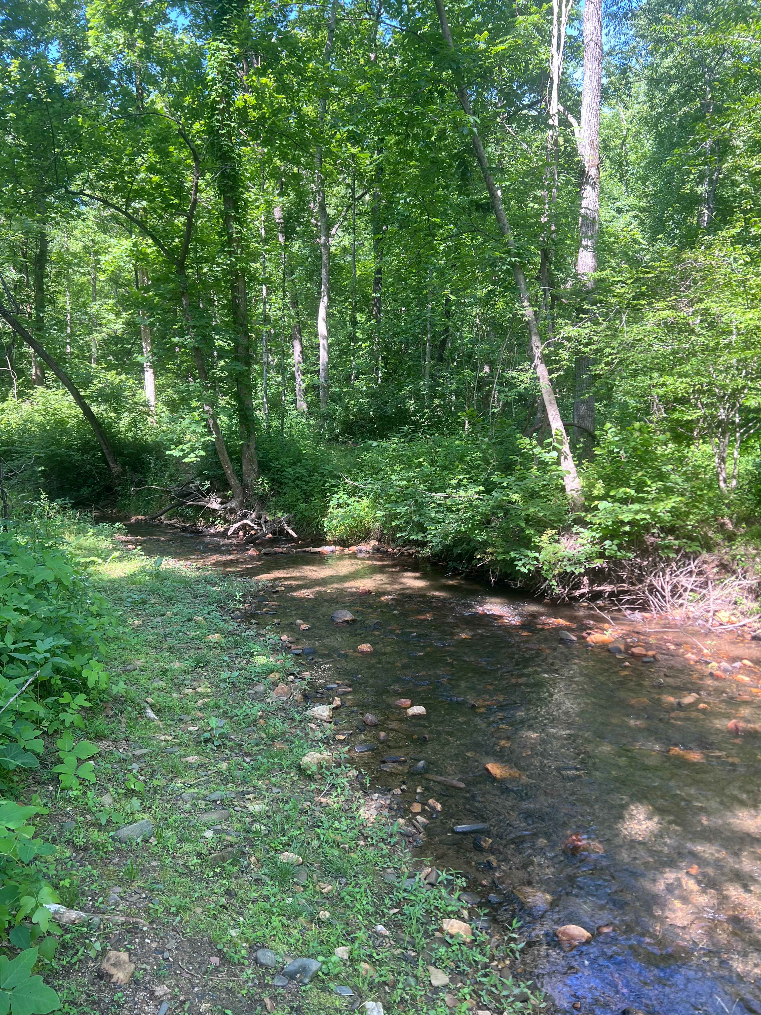 TangleWood Creekside Campsites