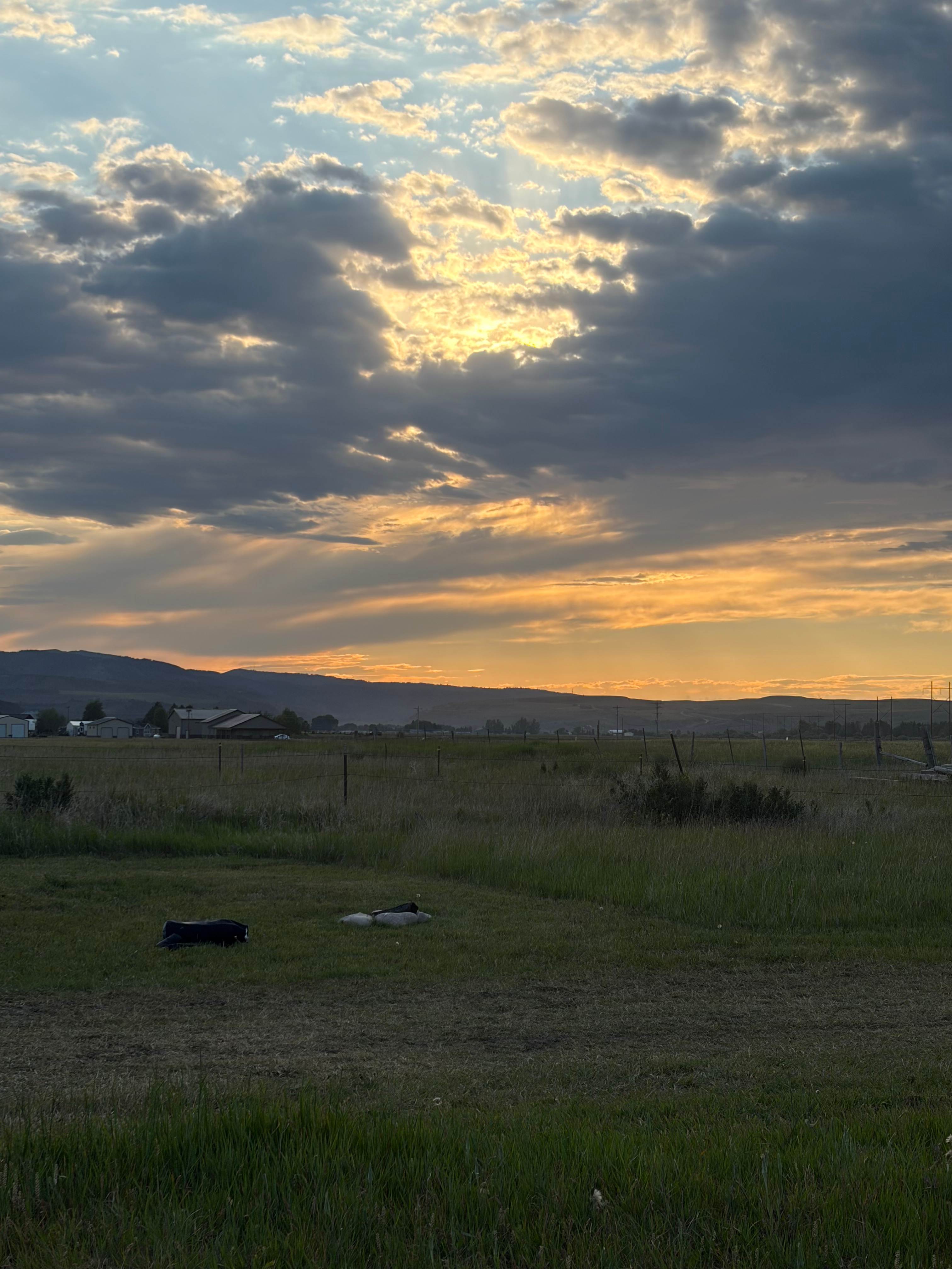 The Park at Swan Valley