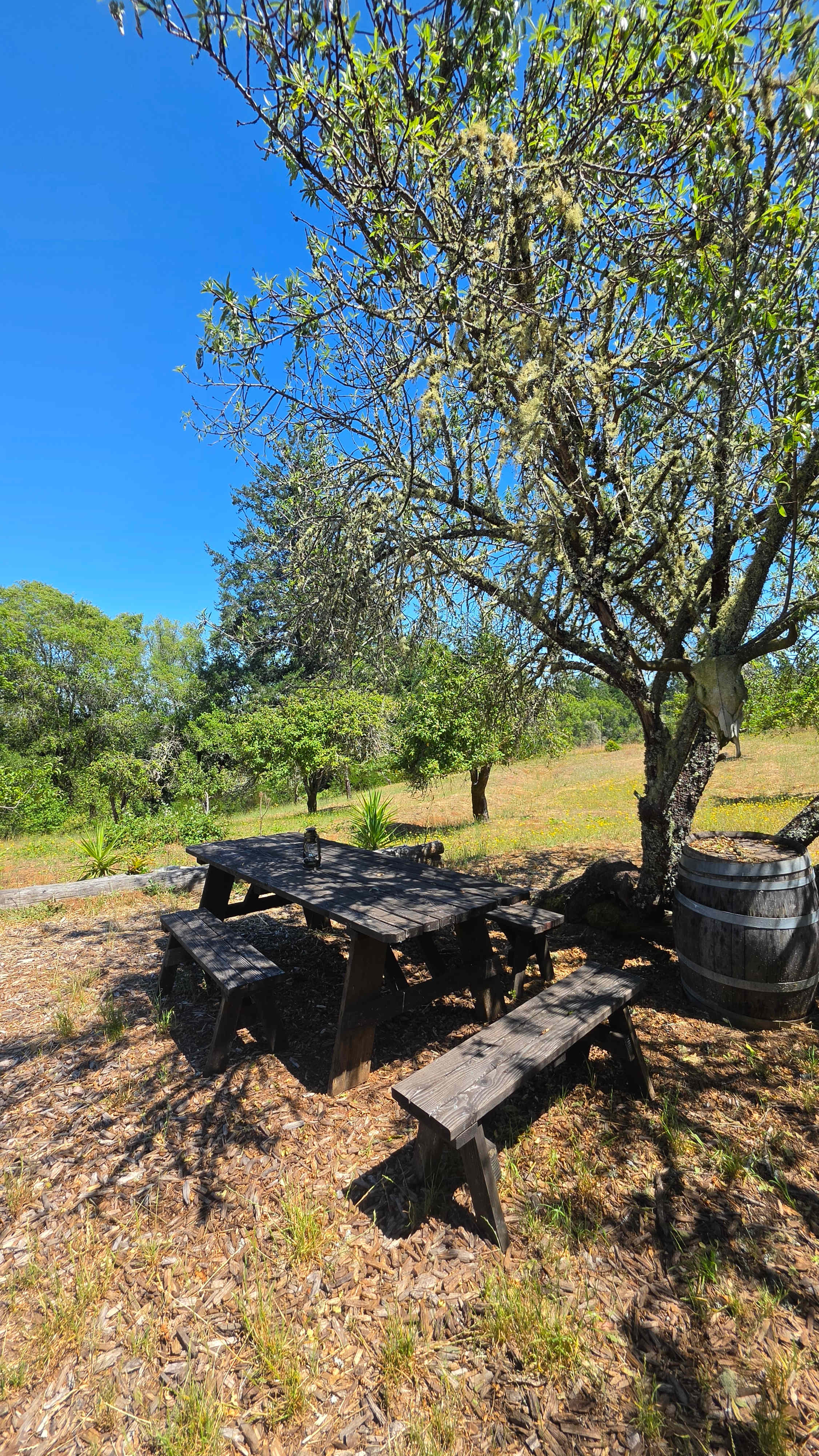 Rancho Laslendini