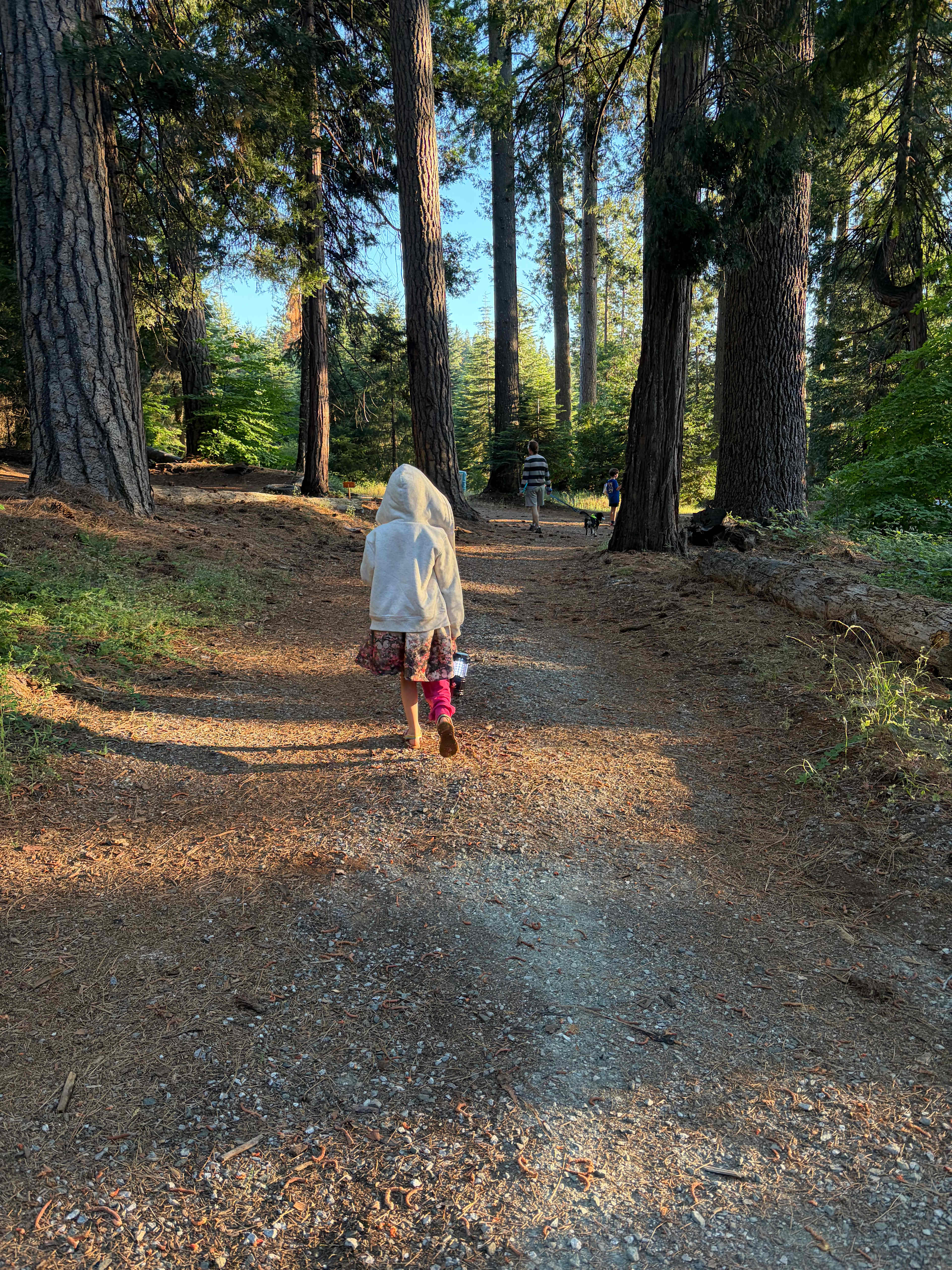 Harris Family Farm and Forest