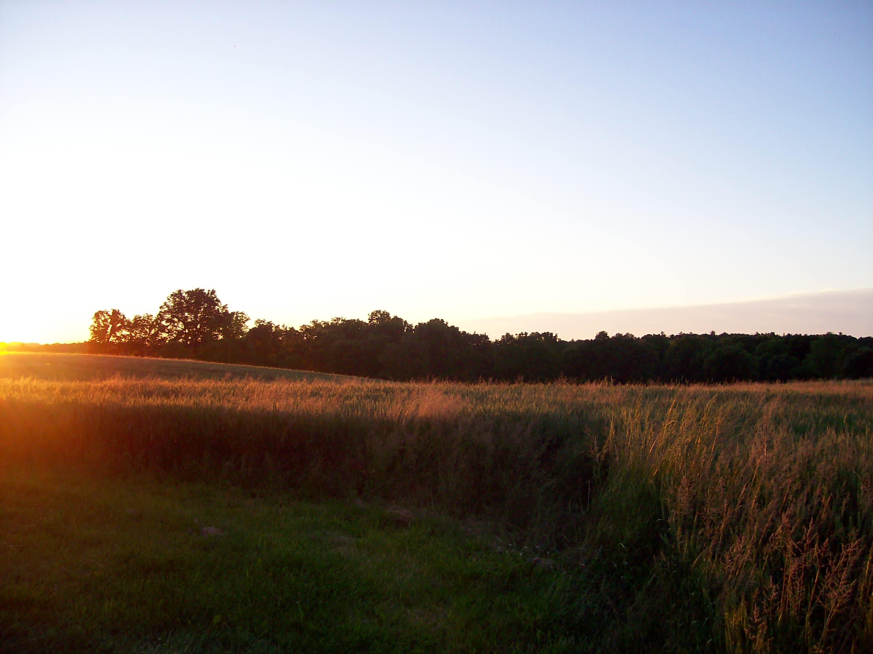 The Farm