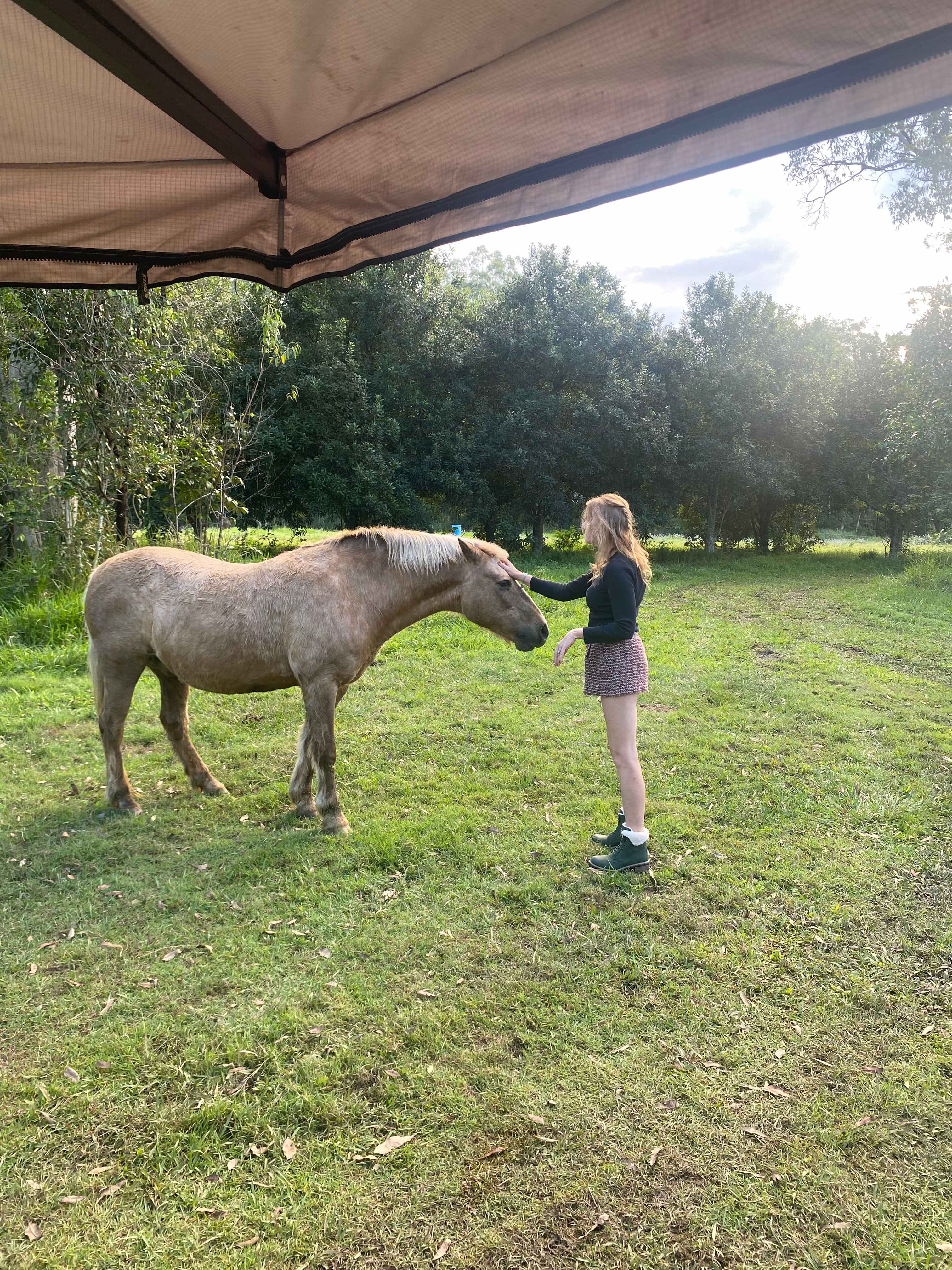 Clyde’s Forest Farm Adventure