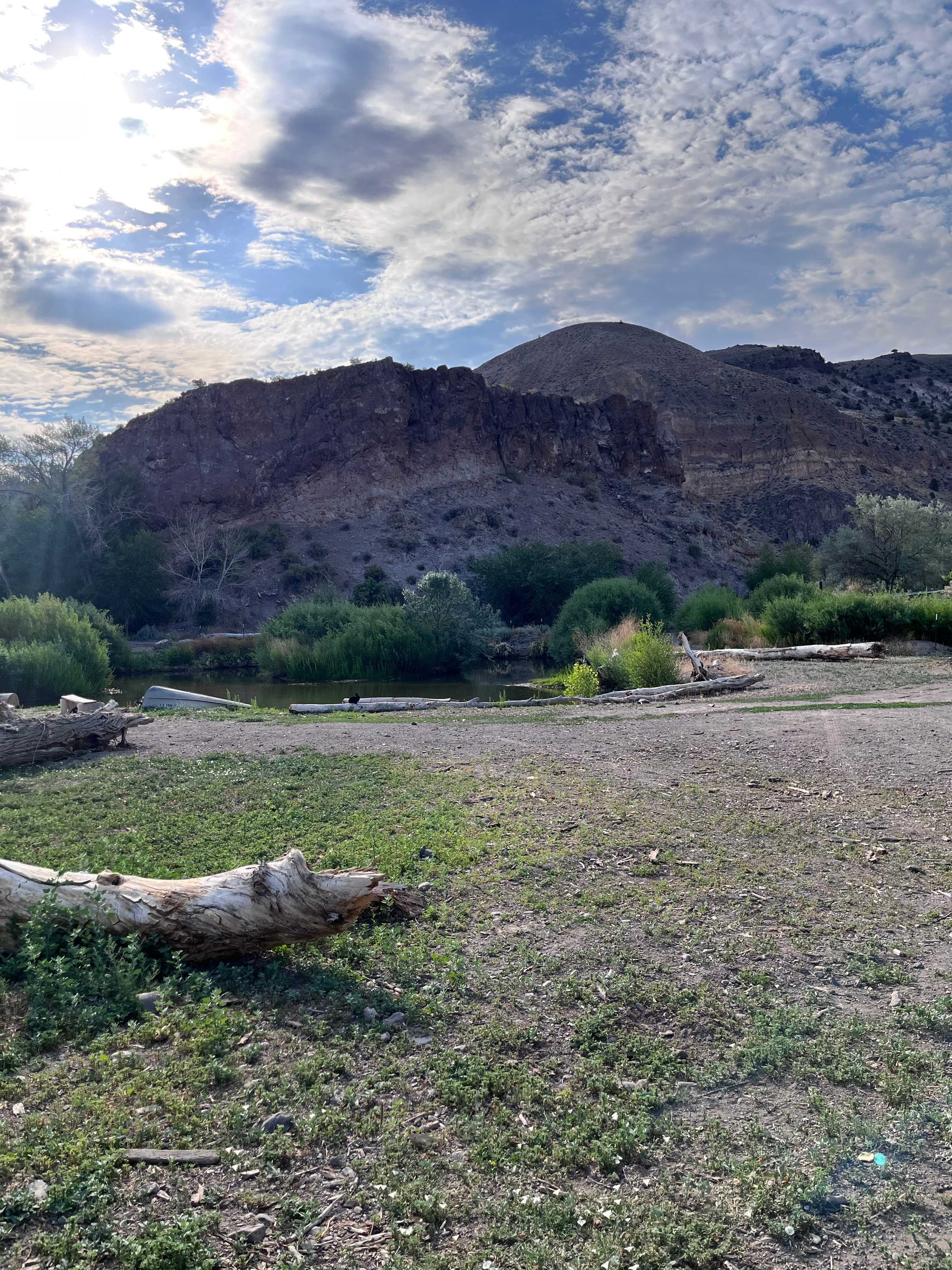 Picture of the site