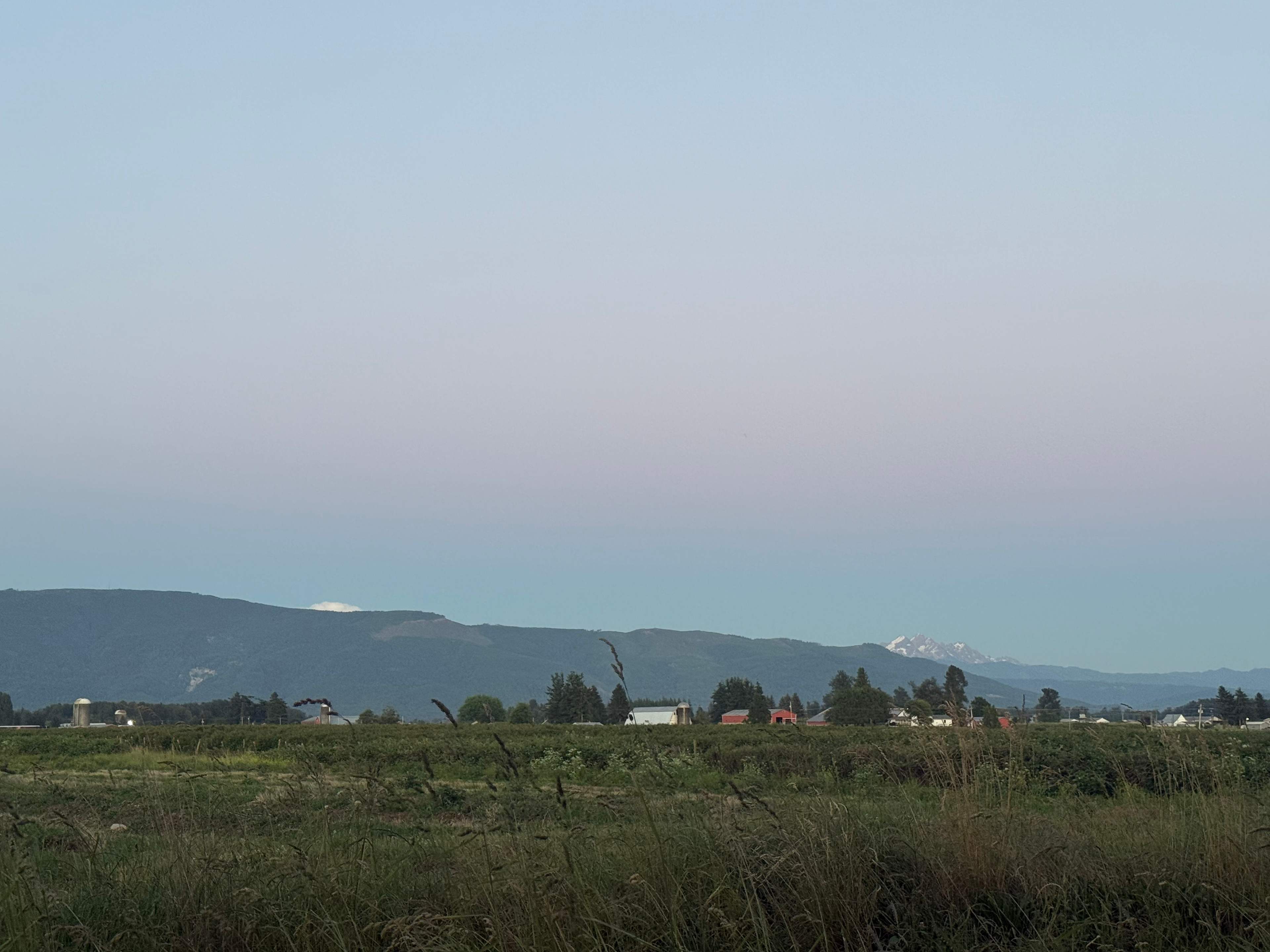 Stay on a Wagyu Farm | Oostema's