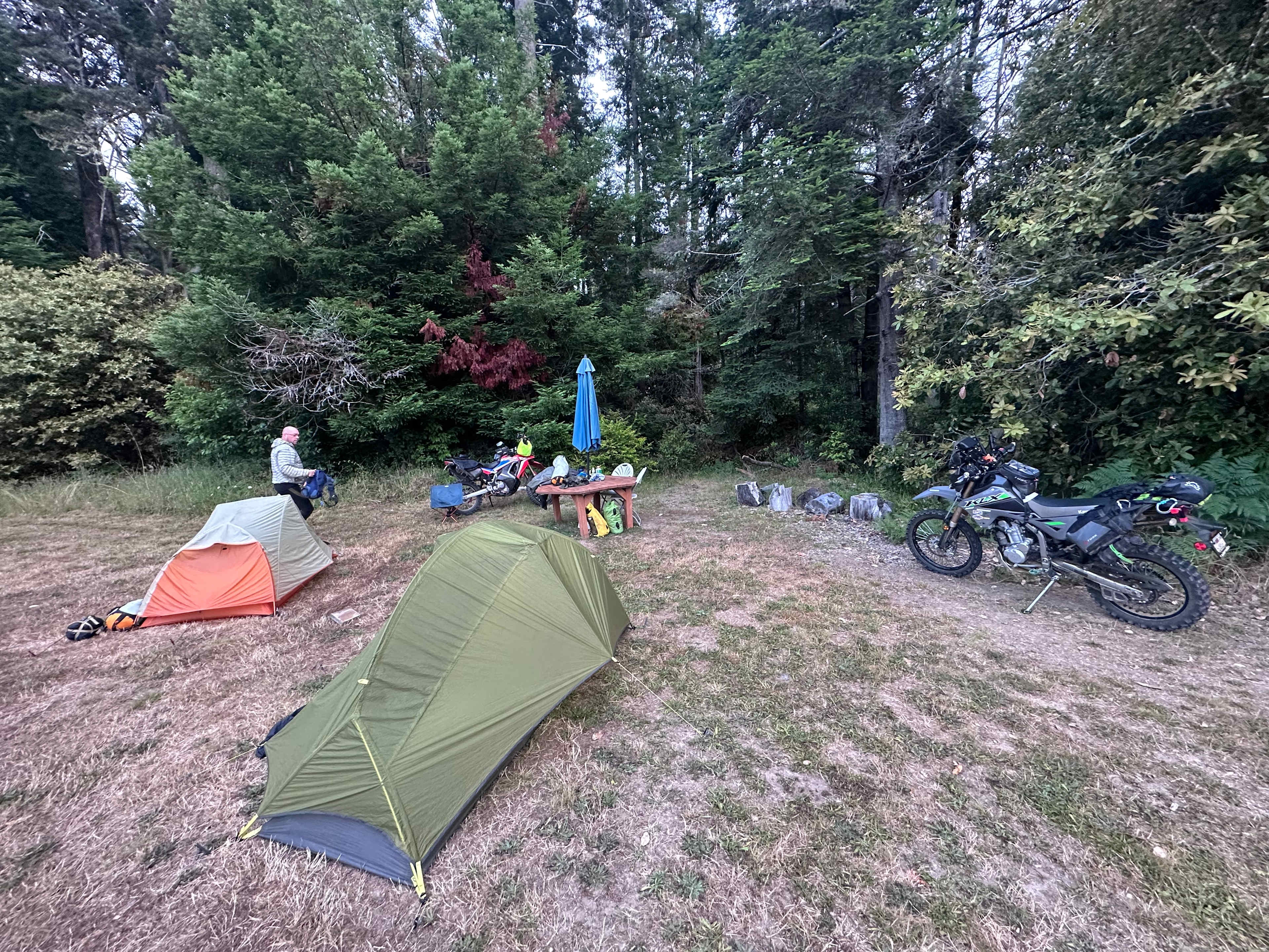 Meadow Farm & Forest